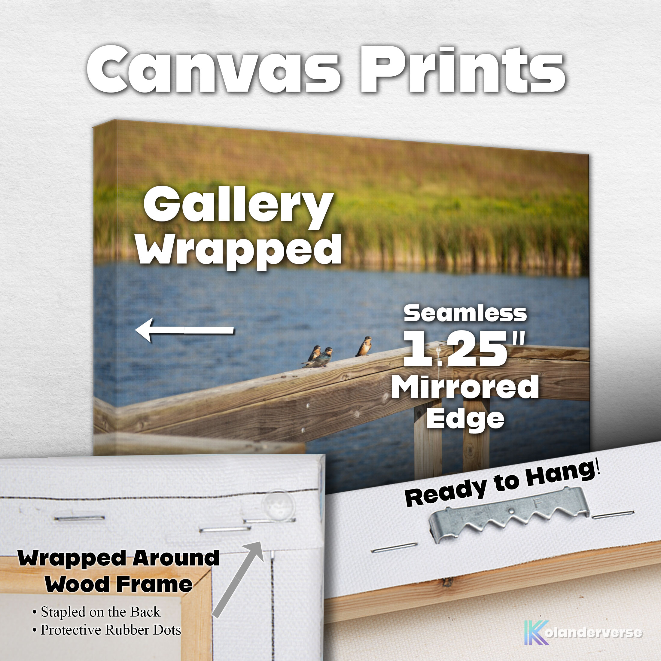 Barn Swallow Birds Wetlands - Canvas Print -Wildlife Photography Minnesota Lake, Marsh Water Countryside Nature Décor #18 product thumbnail image Barn Swallow Birds Wetlands - Canvas Print -Wildlife Photography Minnesota Lake, Marsh Water Countryside Nature Décor #18 product thumbnail image