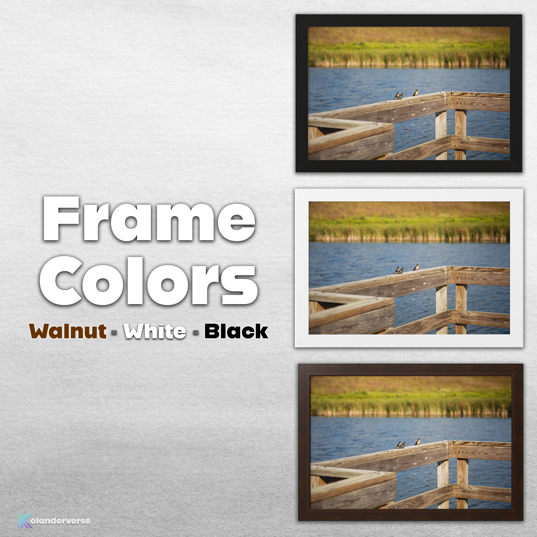 Barn Swallow Birds Wetlands - Framed Print -Wildlife Photography Minnesota Lake, Marsh Water Countryside Nature Décor #18 product thumbnail image