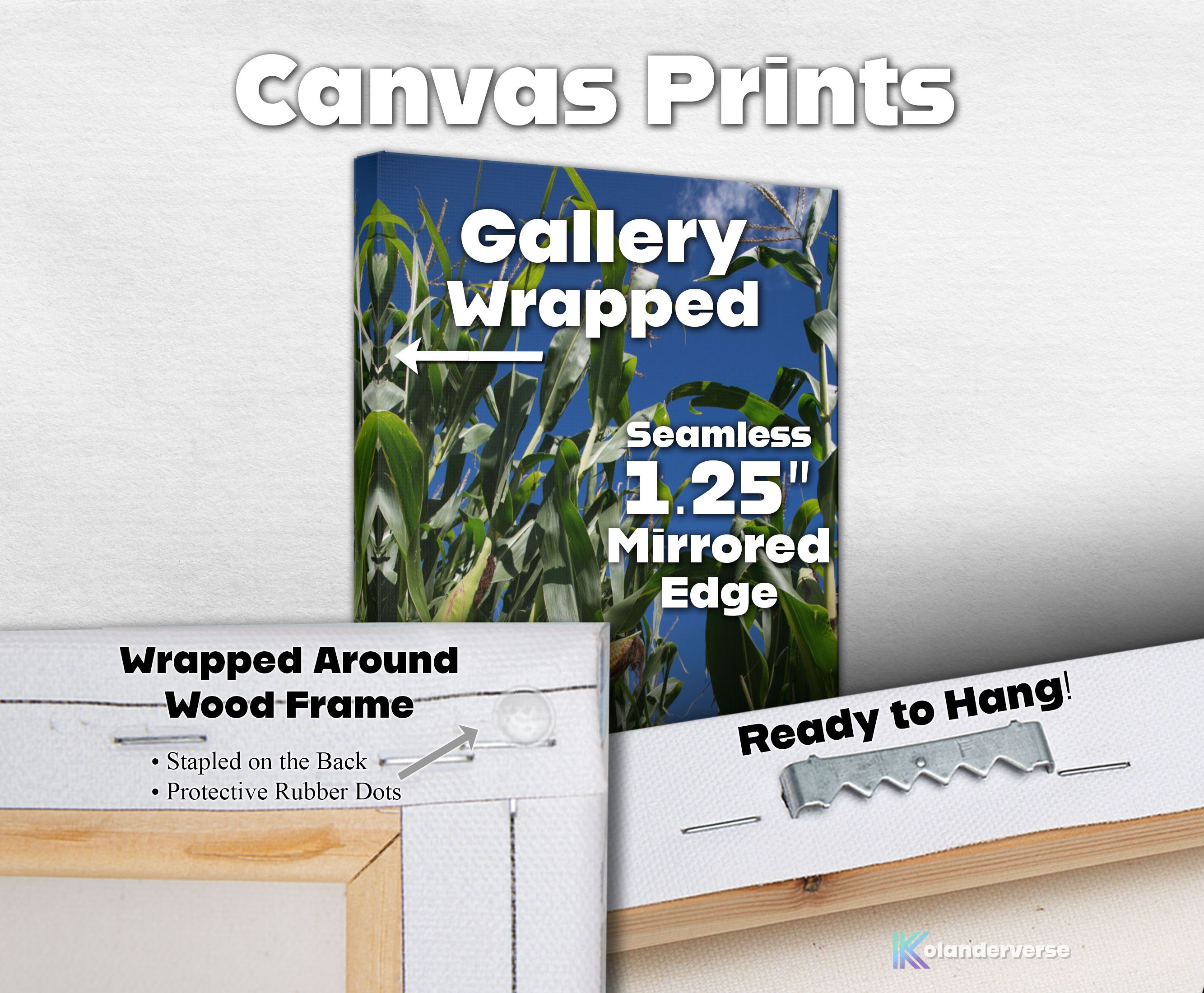 Golden Corn Field Close Up - Canvas Print – Blue Sky Farm Photography Wall Art, Country Landscape - Rustic Harvest Nature Decor #19 product thumbnail image