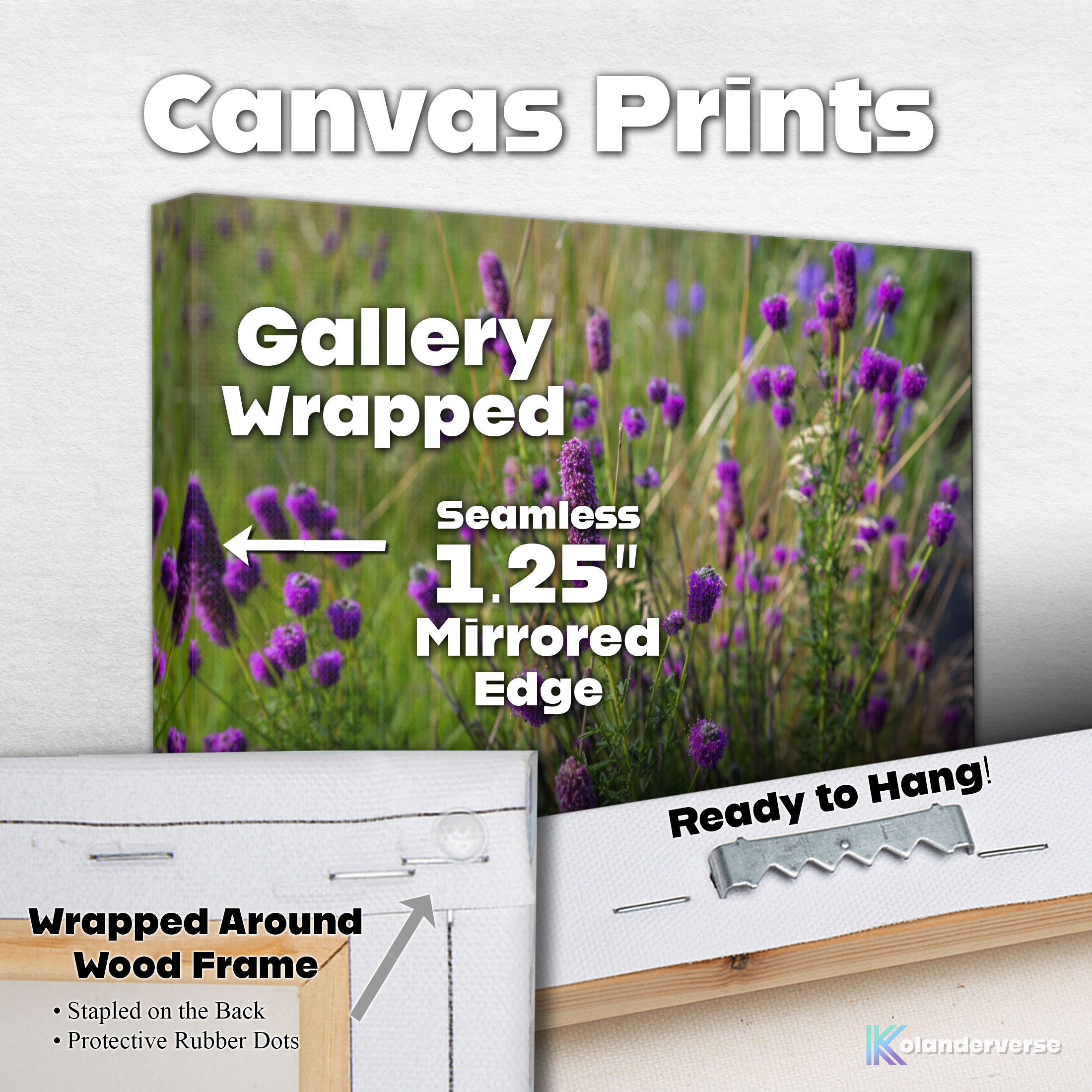 Purple Prairie Clover Flowers - Canvas Print - Midwest Wildflowers Picture Artwork, Botanical Floral Wall Art Décor #22 product thumbnail image Purple Prairie Clover Flowers - Canvas Print - Midwest Wildflowers Picture Artwork, Botanical Floral Wall Art Décor #22 product thumbnail image