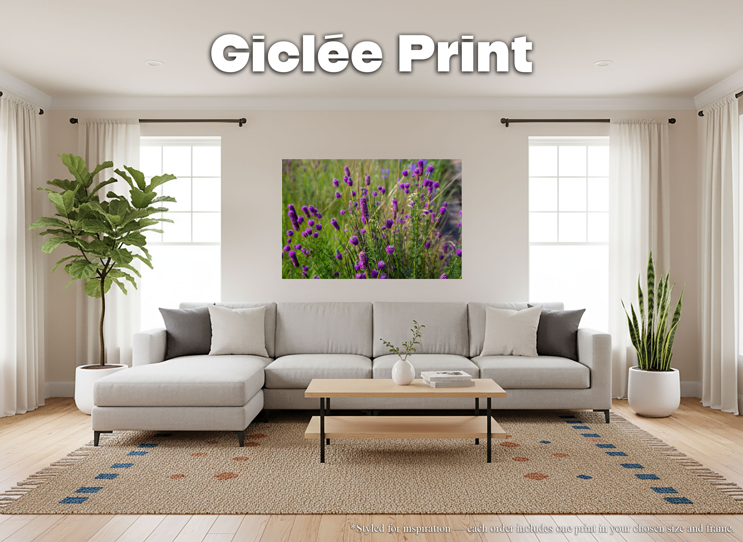 Purple Prairie Clover Flowers - Giclée Poster Print - Midwest Wildflowers Picture Artwork, Botanical Floral Wall Art Décor #22 product thumbnail image Purple Prairie Clover Flowers - Giclée Poster Print - Midwest Wildflowers Picture Artwork, Botanical Floral Wall Art Décor #22 product thumbnail image