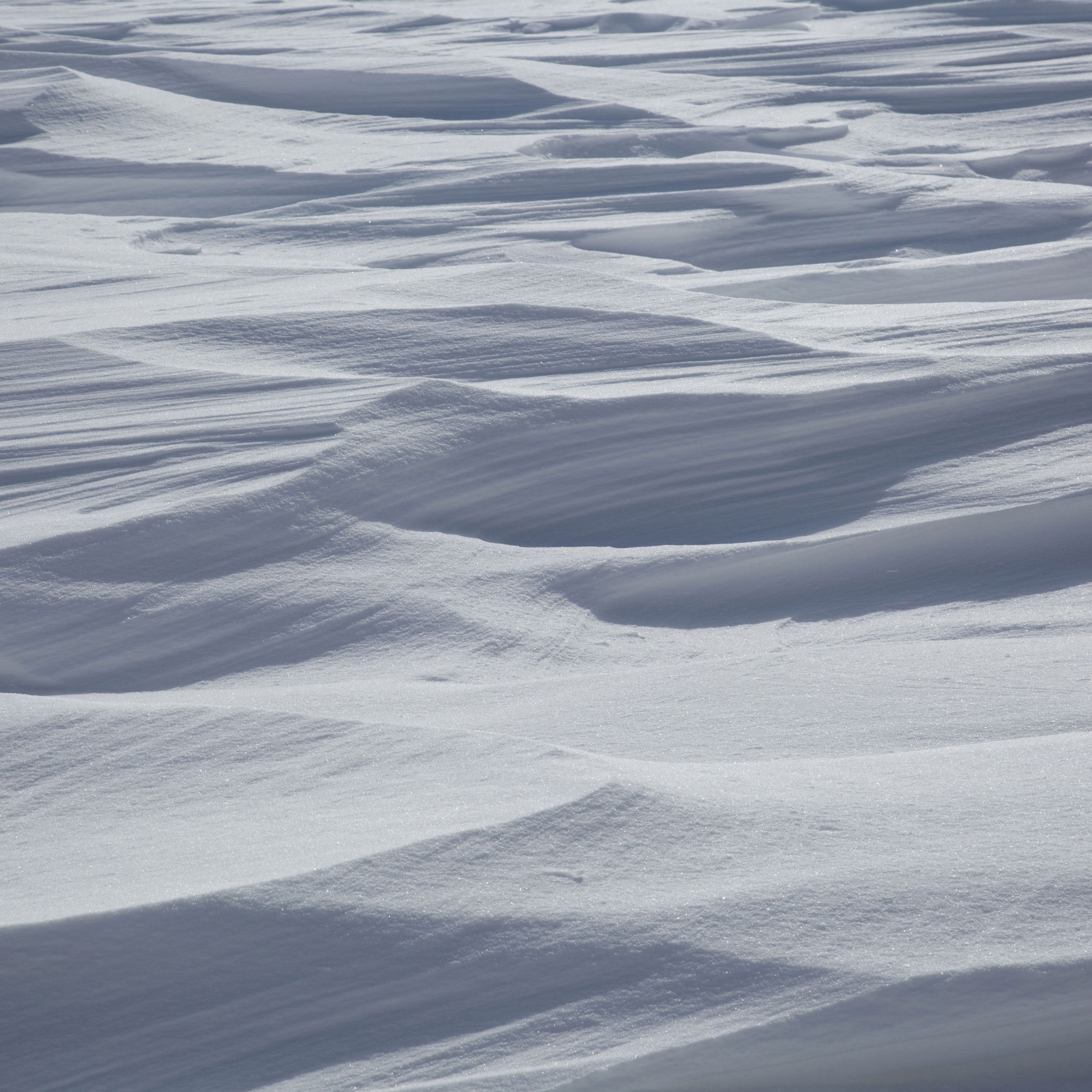 Snow Drifts Photography – Giclée Poster Print - Minimalist Abstract Landscape, Nature Shades of Blue and White Winter Wall Art #23 product thumbnail image Snow Drifts Photography – Giclée Poster Print - Minimalist Abstract Landscape, Nature Shades of Blue and White Winter Wall Art #23 product thumbnail image