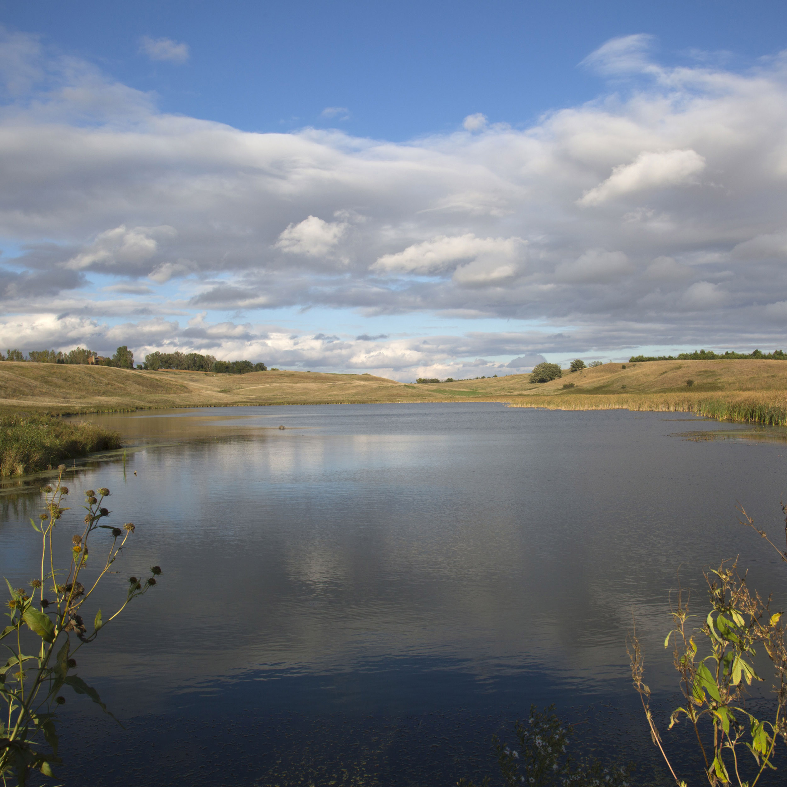 Prairie Lake - Giclée Poster Print - Minnesota Wetlands Photography Landscape - Countryside Water Rustic Wall Art #24 product thumbnail image