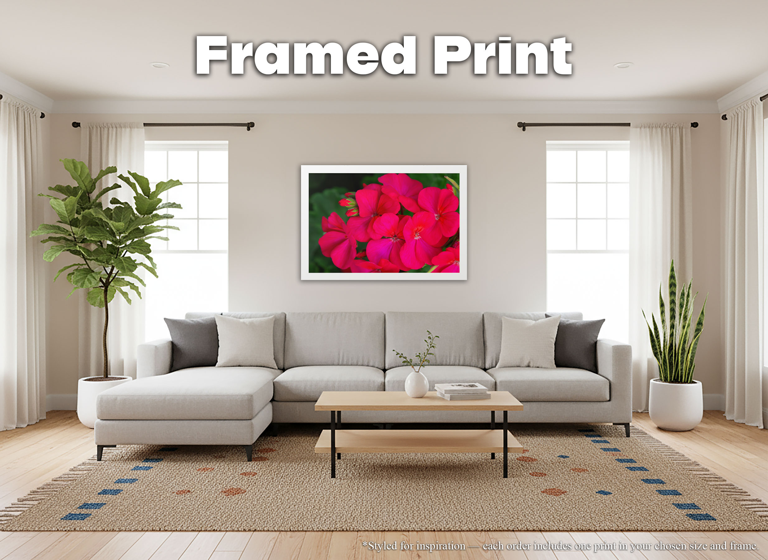 Bright Pink Geranium Flowers - Framed Print - Close Up Floral Art #77 product thumbnail image Bright Pink Geranium Flowers - Framed Print - Close Up Floral Art #77 product thumbnail image