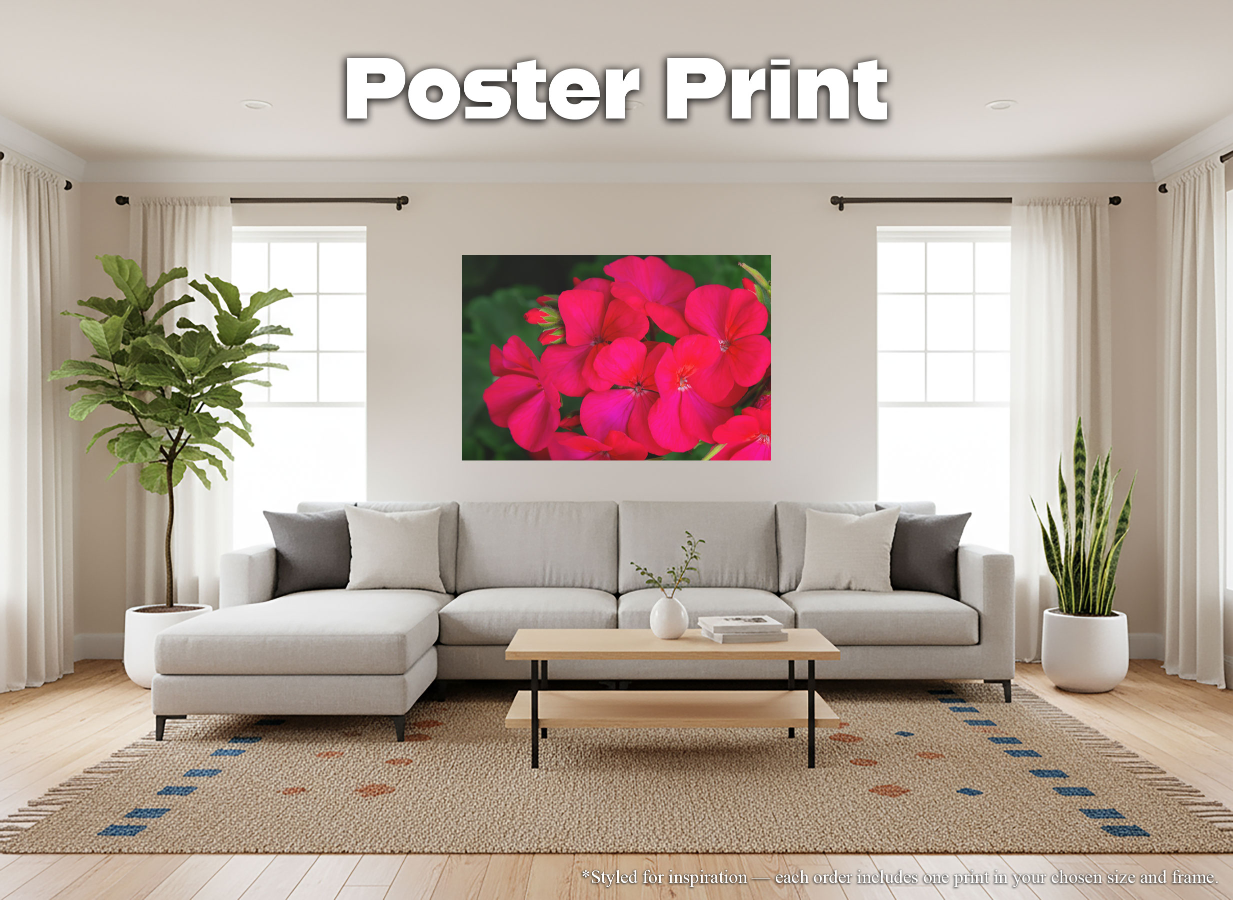 Bright Pink Geranium Flowers - Giclée Poster Print - Close Up Floral Art #77