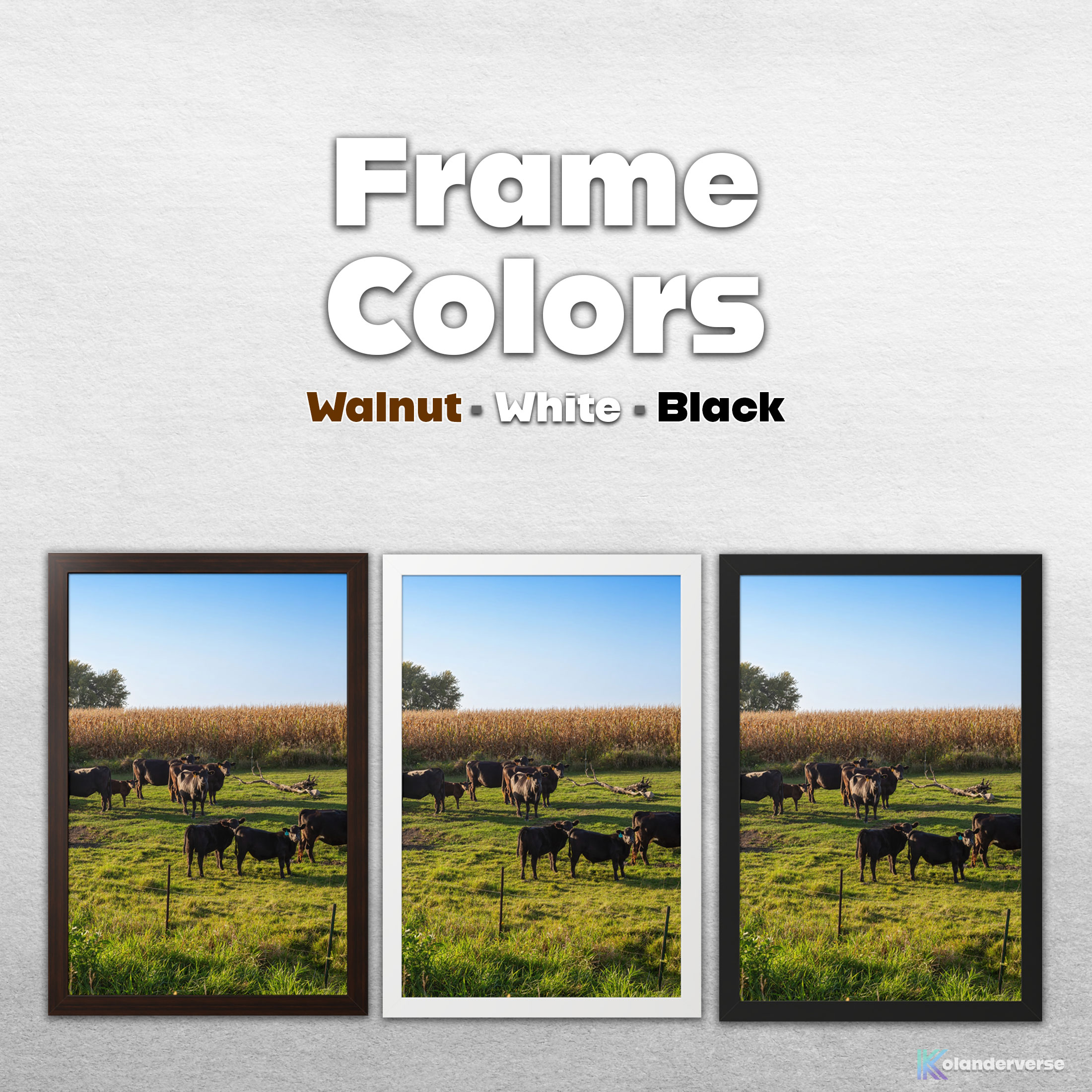 Black Angus Cattle in Green Pasture - Framed Print - Rural Country Farm Cornfield Landscape Wall Art #79 product thumbnail image Black Angus Cattle in Green Pasture - Framed Print - Rural Country Farm Cornfield Landscape Wall Art #79 product thumbnail image