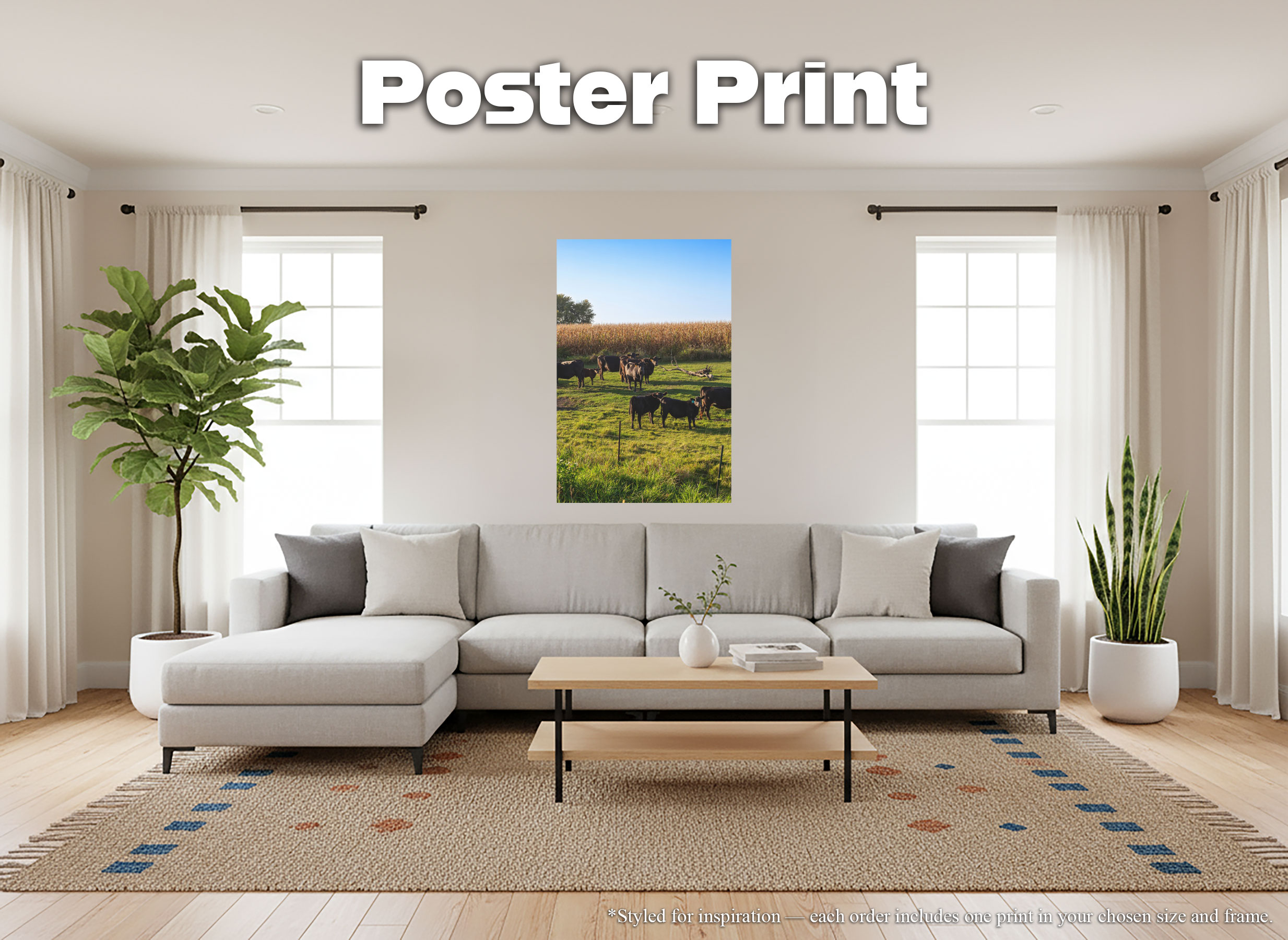 Black Angus Cattle in Green Pasture - Giclée Poster Print - Rural Country Farm Cornfield Landscape Wall Art #79 product thumbnail image Black Angus Cattle in Green Pasture - Giclée Poster Print - Rural Country Farm Cornfield Landscape Wall Art #79 product thumbnail image