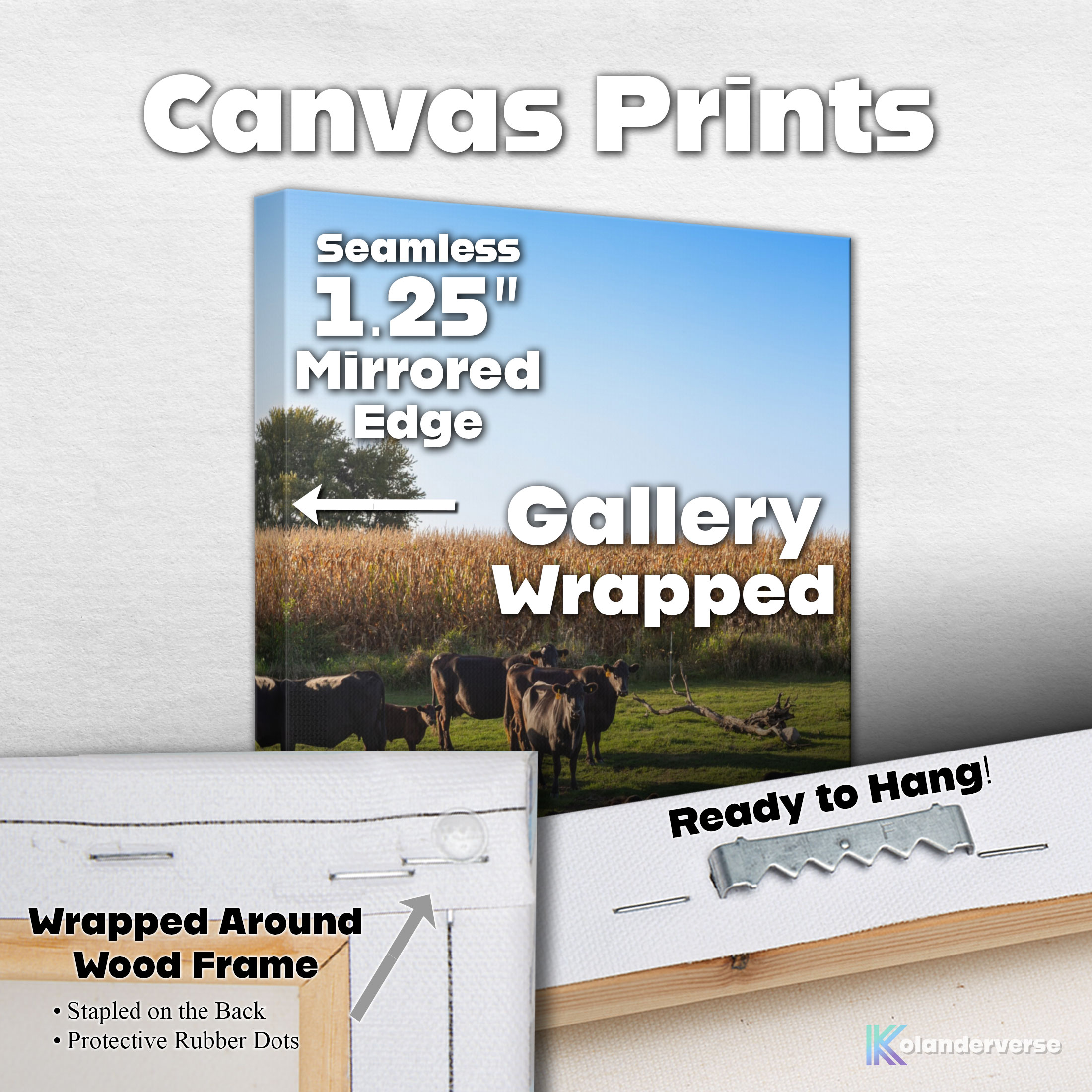 Black Angus Cattle in Green Pasture - Canvas Print - Rural Country Farm Cornfield Landscape Wall Art #79 product thumbnail image Black Angus Cattle in Green Pasture - Canvas Print - Rural Country Farm Cornfield Landscape Wall Art #79 product thumbnail image