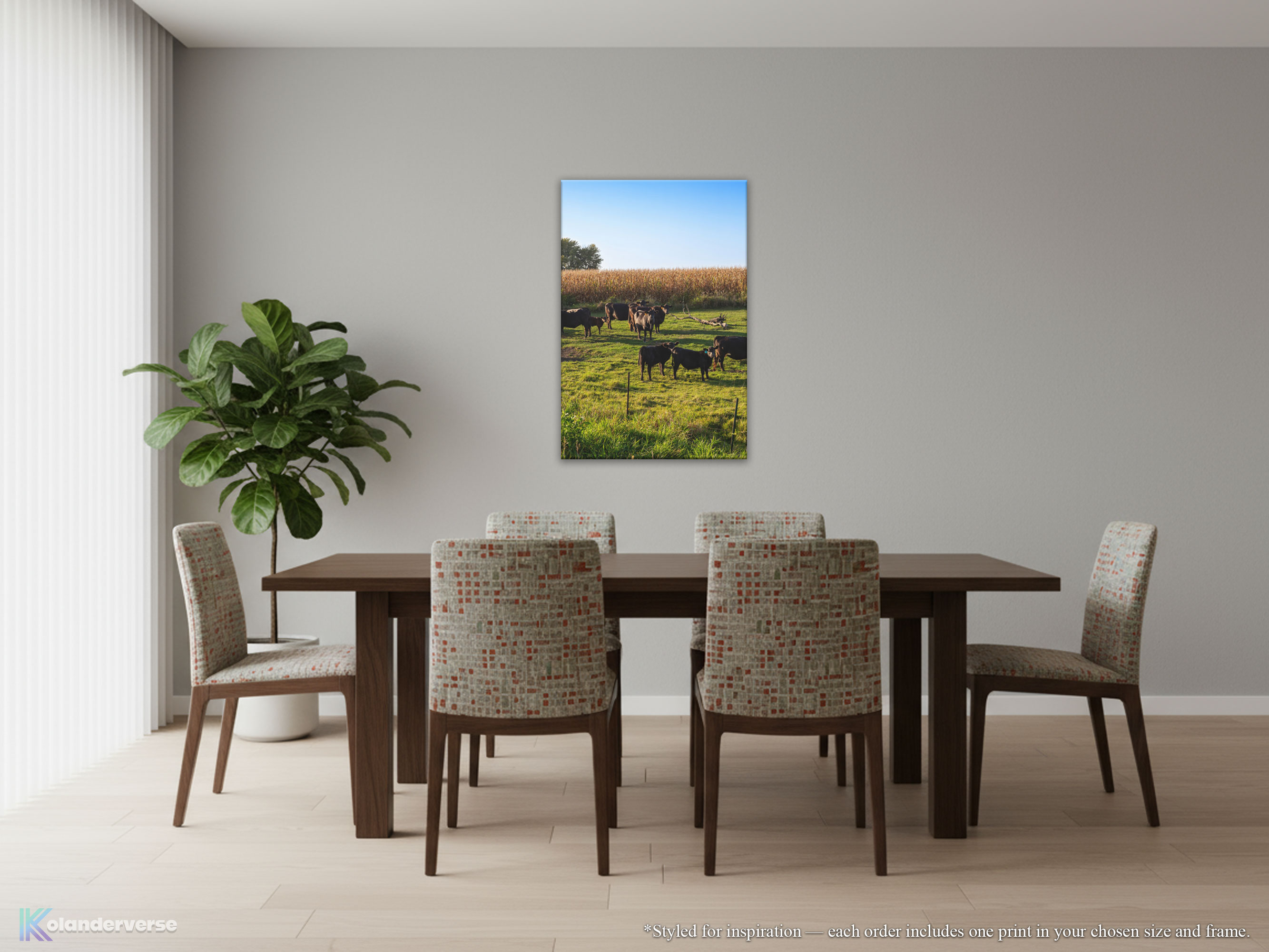 Black Angus Cattle in Green Pasture - Canvas Print - Rural Country Farm Cornfield Landscape Wall Art #79 product thumbnail image