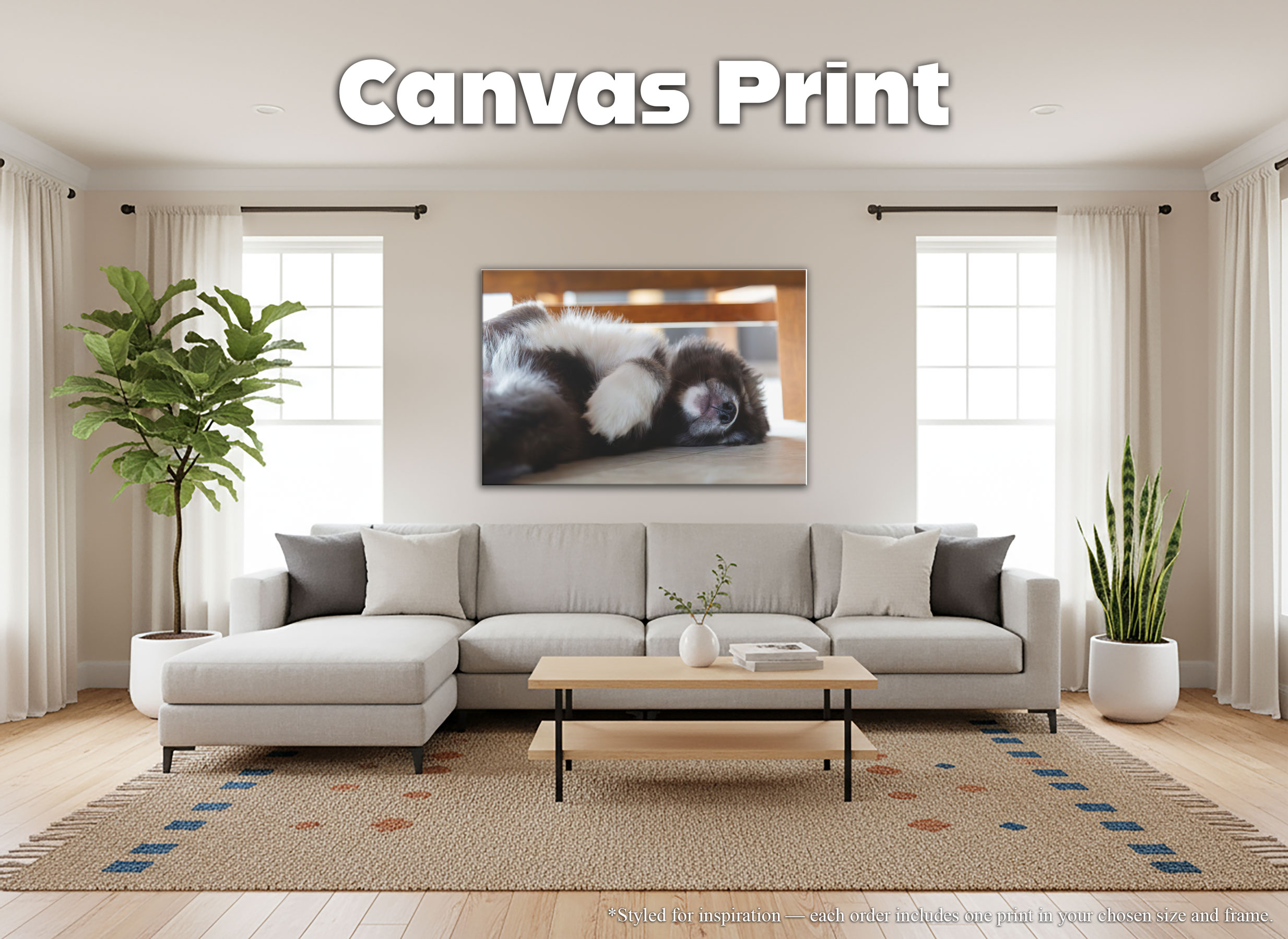 Husky Puppy Sleeping - Canvas Print - Rare Agouti Siberian Huskies Animal Home Décor #73 product thumbnail image Husky Puppy Sleeping - Canvas Print - Rare Agouti Siberian Huskies Animal Home Décor #73 product thumbnail image