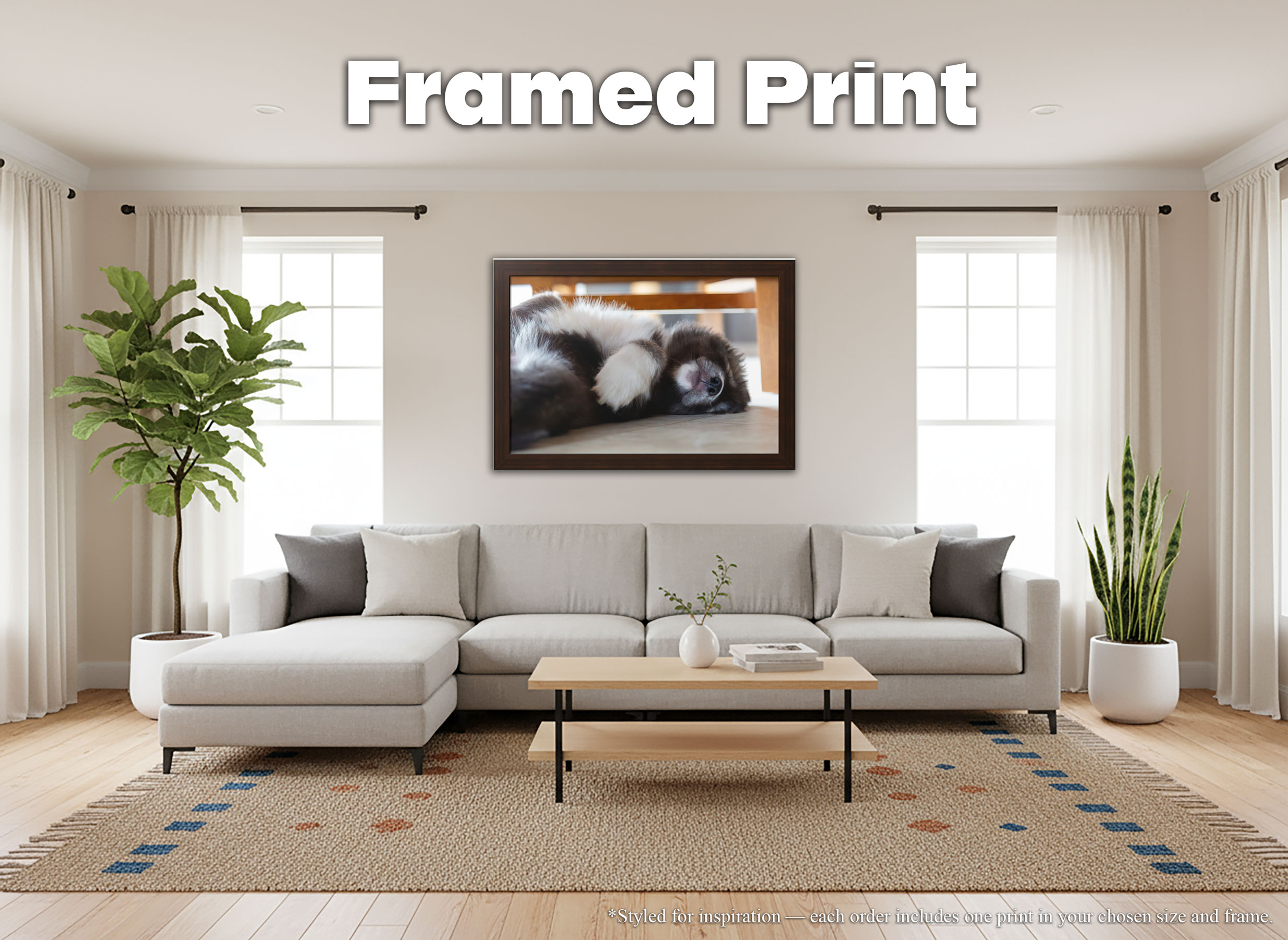 Husky Puppy Sleeping - Framed Print - Rare Agouti Siberian Huskies Animal Home Décor #73 product thumbnail image