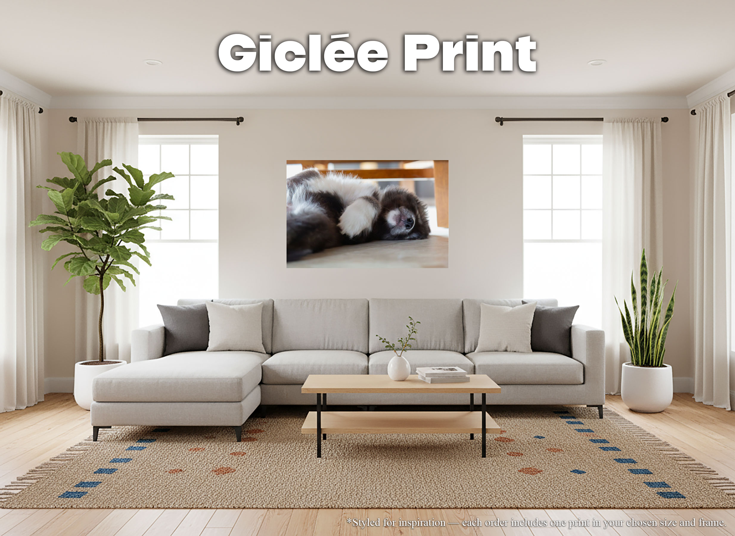 Husky Puppy Sleeping - Giclée Poster Print - Rare Agouti Siberian Huskies Animal Home Décor #73 Husky Puppy Sleeping - Giclée Poster Print - Rare Agouti Siberian Huskies Animal Home Décor #73