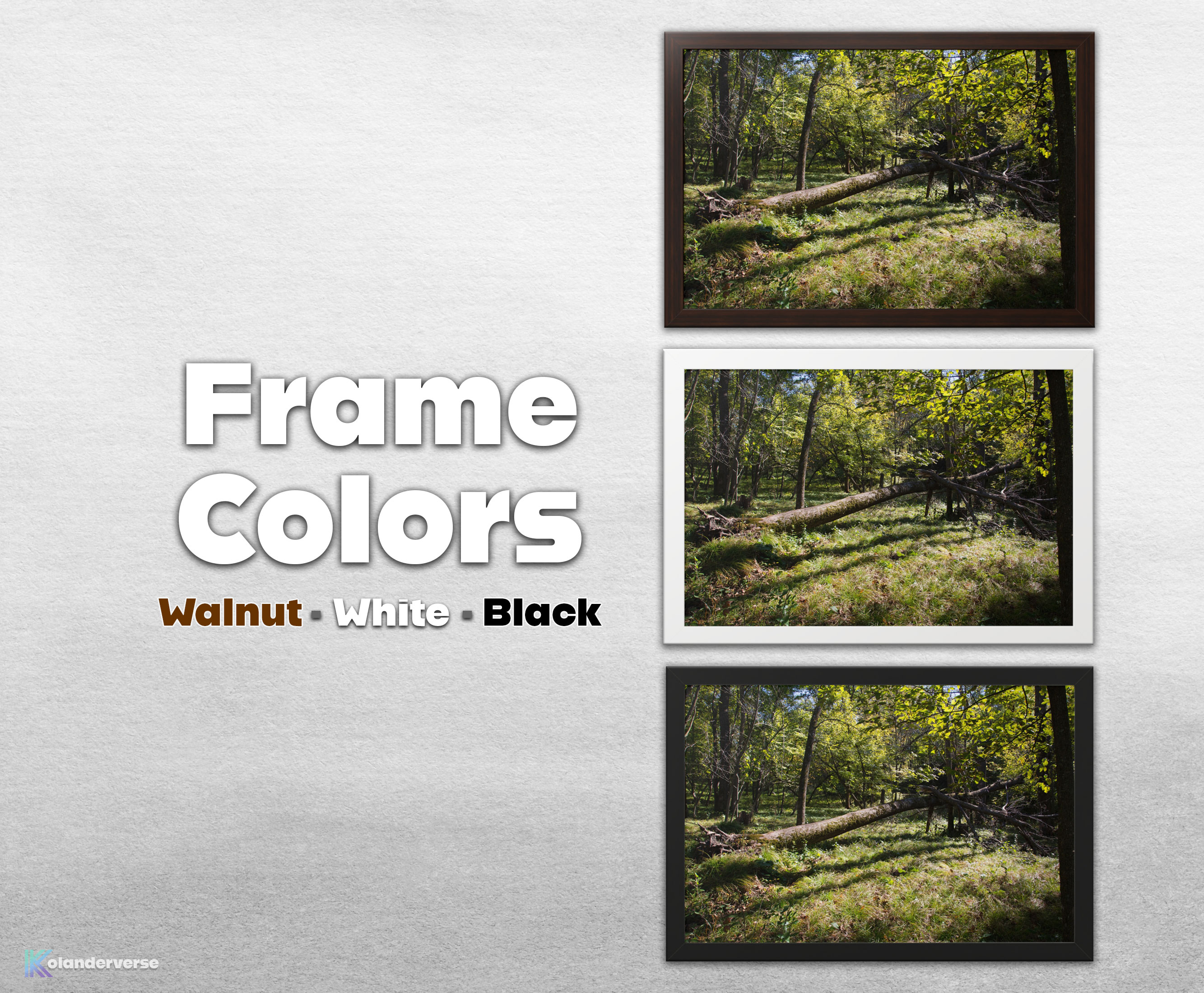 Golden Forest Light – Framed Print - Sun Trees Woodland Photography, Nature Landscape Wall Art #27 product thumbnail image