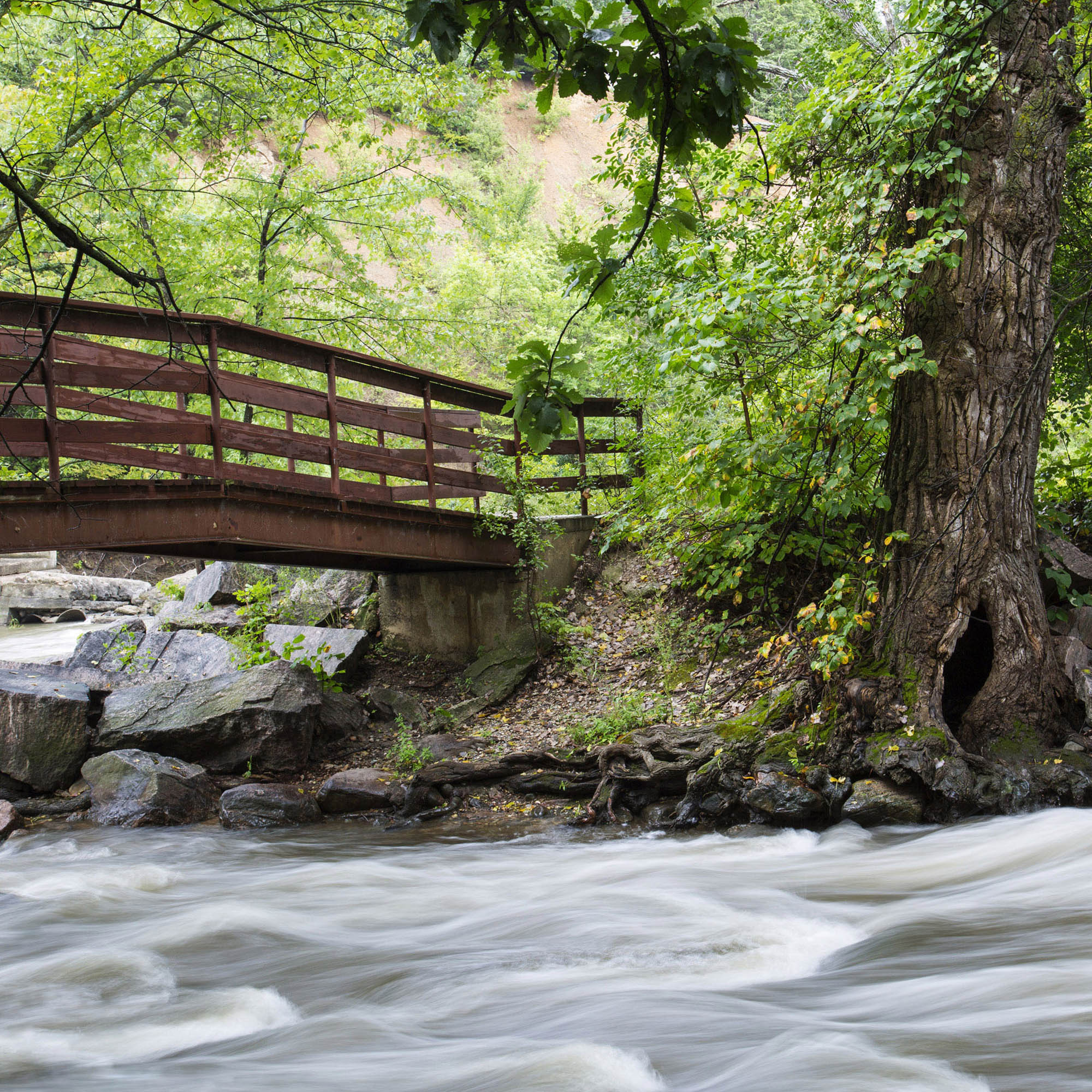 Rustic Bridge River Print – Canvas Print - Flowing Waterfall Photography, Nature Woodland Stream Landscape Wall Art #28 product thumbnail image Rustic Bridge River Print – Canvas Print - Flowing Waterfall Photography, Nature Woodland Stream Landscape Wall Art #28 product thumbnail image