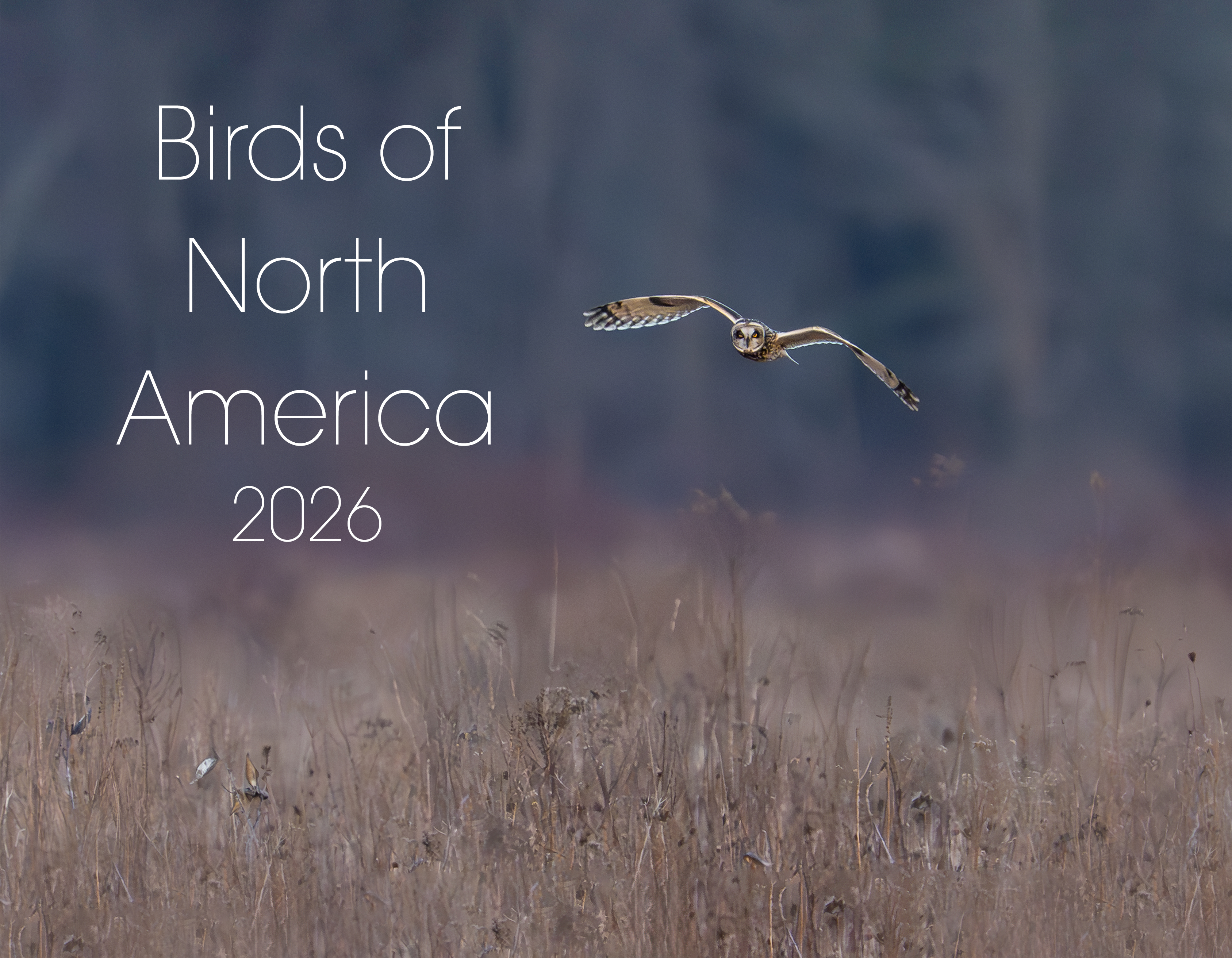 (Monday Start) Birds of North America - 2026 Calendar product thumbnail image (Monday Start) Birds of North America - 2026 Calendar product thumbnail image