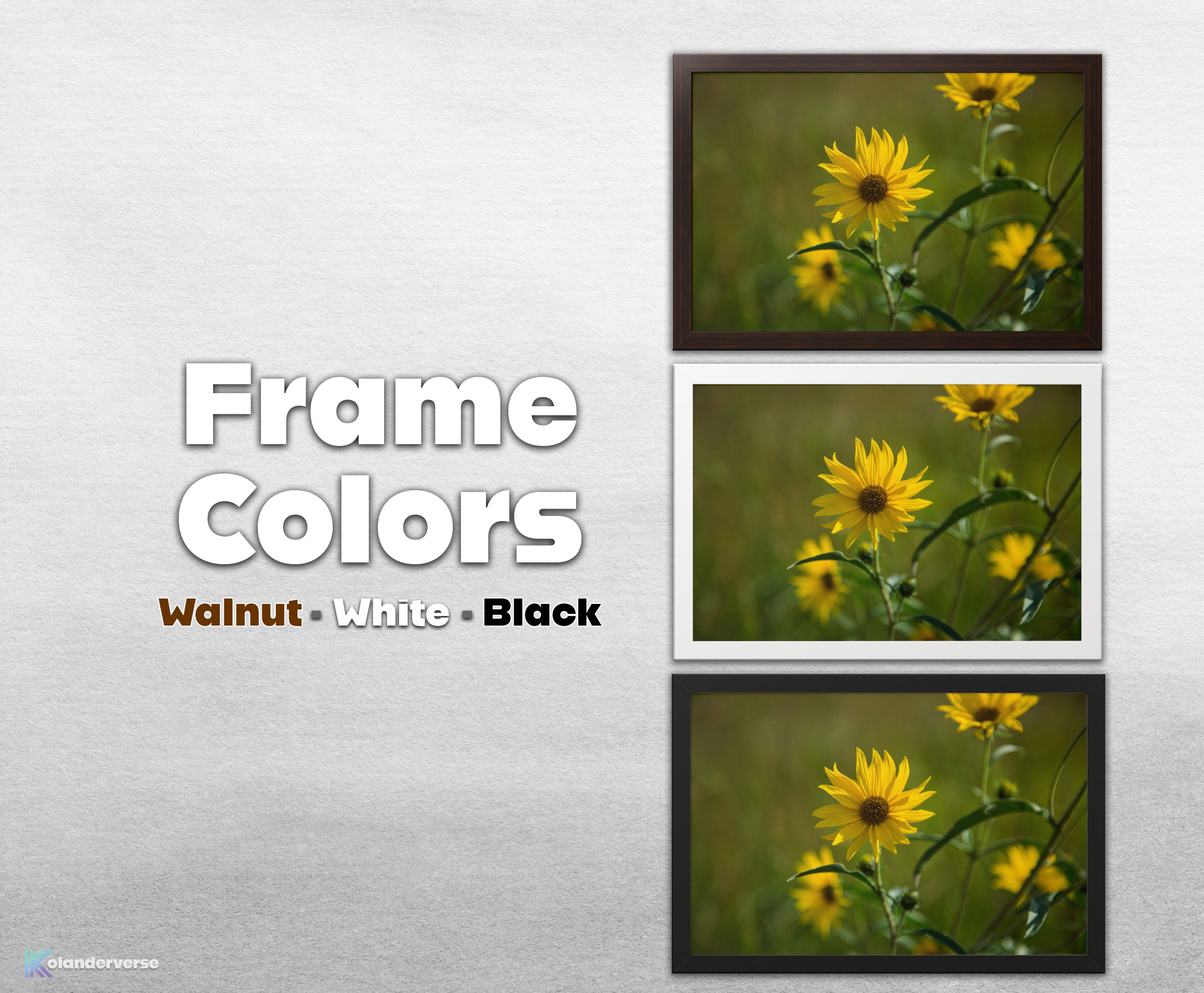 Wild Sunflower - Framed Print – Yellow Prairie Flower Photography, Bright Floral Wall Art , Rustic Botanical Modern Décor #30 product thumbnail image Wild Sunflower - Framed Print – Yellow Prairie Flower Photography, Bright Floral Wall Art , Rustic Botanical Modern Décor #30 product thumbnail image