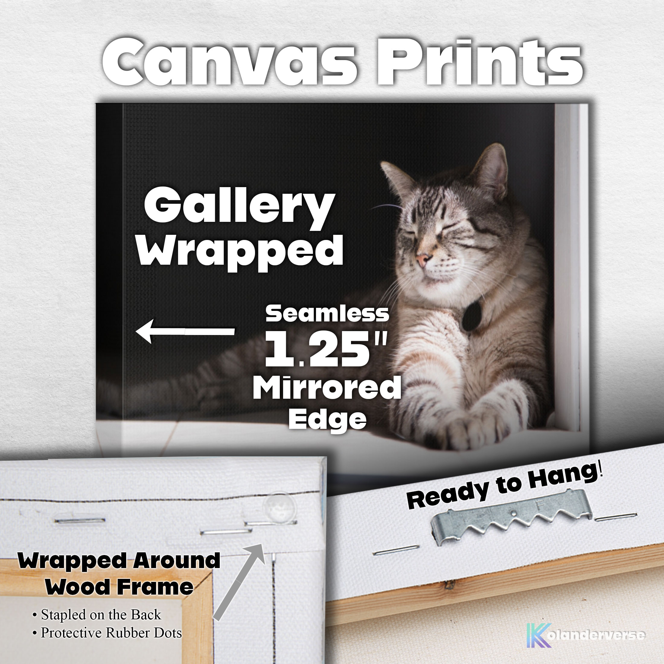 Siamese Lynx Point Cat - Canvas Print - Relaxed Feline in Sunshine Photography #33 product thumbnail image