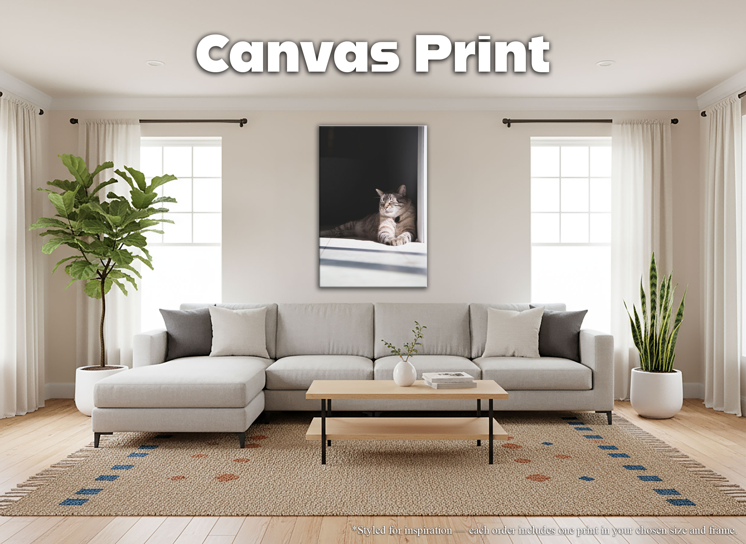 Siamese Lynx Point Cat - Canvas Print - Relaxed Feline in Sunshine Photography #33 product thumbnail image Siamese Lynx Point Cat - Canvas Print - Relaxed Feline in Sunshine Photography #33 product thumbnail image