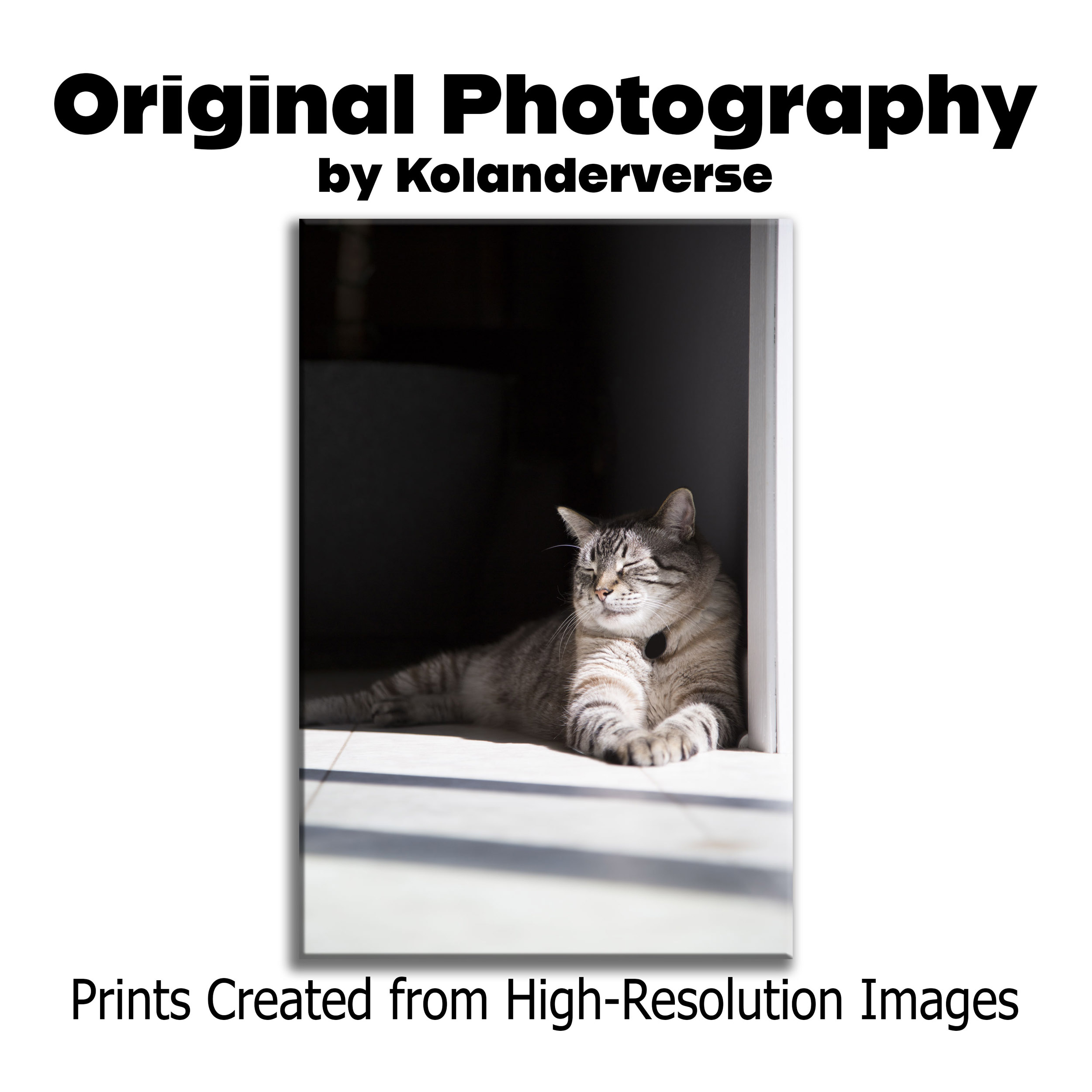 Siamese Lynx Point Cat - Framed Print - Relaxed Feline in Sunshine Photography #33 product thumbnail image Siamese Lynx Point Cat - Framed Print - Relaxed Feline in Sunshine Photography #33 product thumbnail image