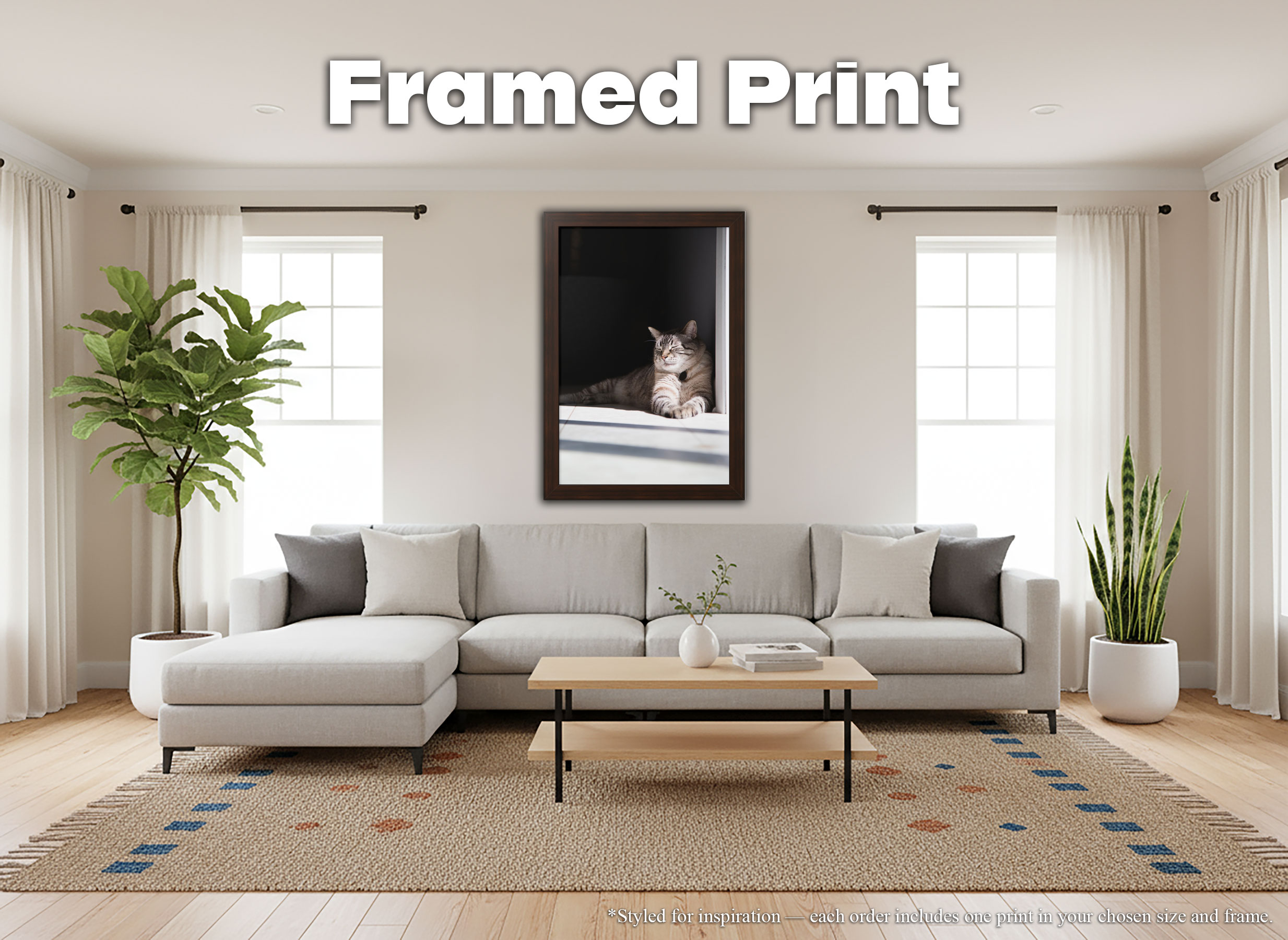 Siamese Lynx Point Cat - Framed Print - Relaxed Feline in Sunshine Photography #33 product thumbnail image Siamese Lynx Point Cat - Framed Print - Relaxed Feline in Sunshine Photography #33 product thumbnail image