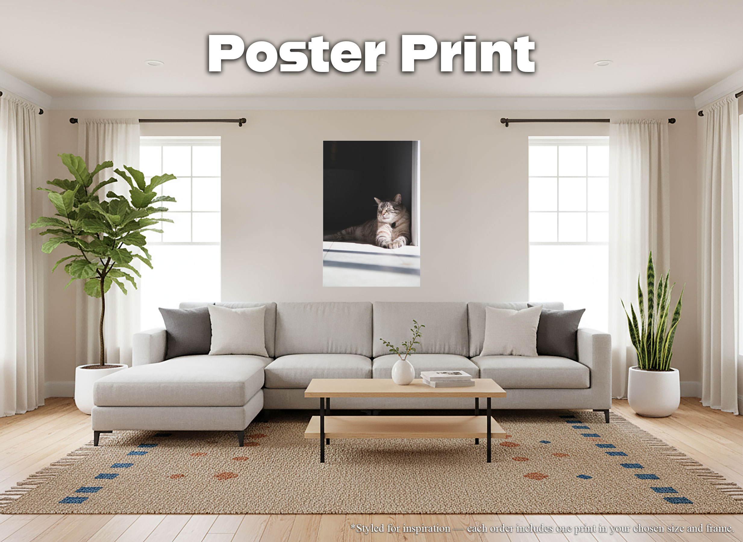 Siamese Lynx Point Cat - Giclée Poster Print - Relaxed Feline in Sunshine Photography #33
