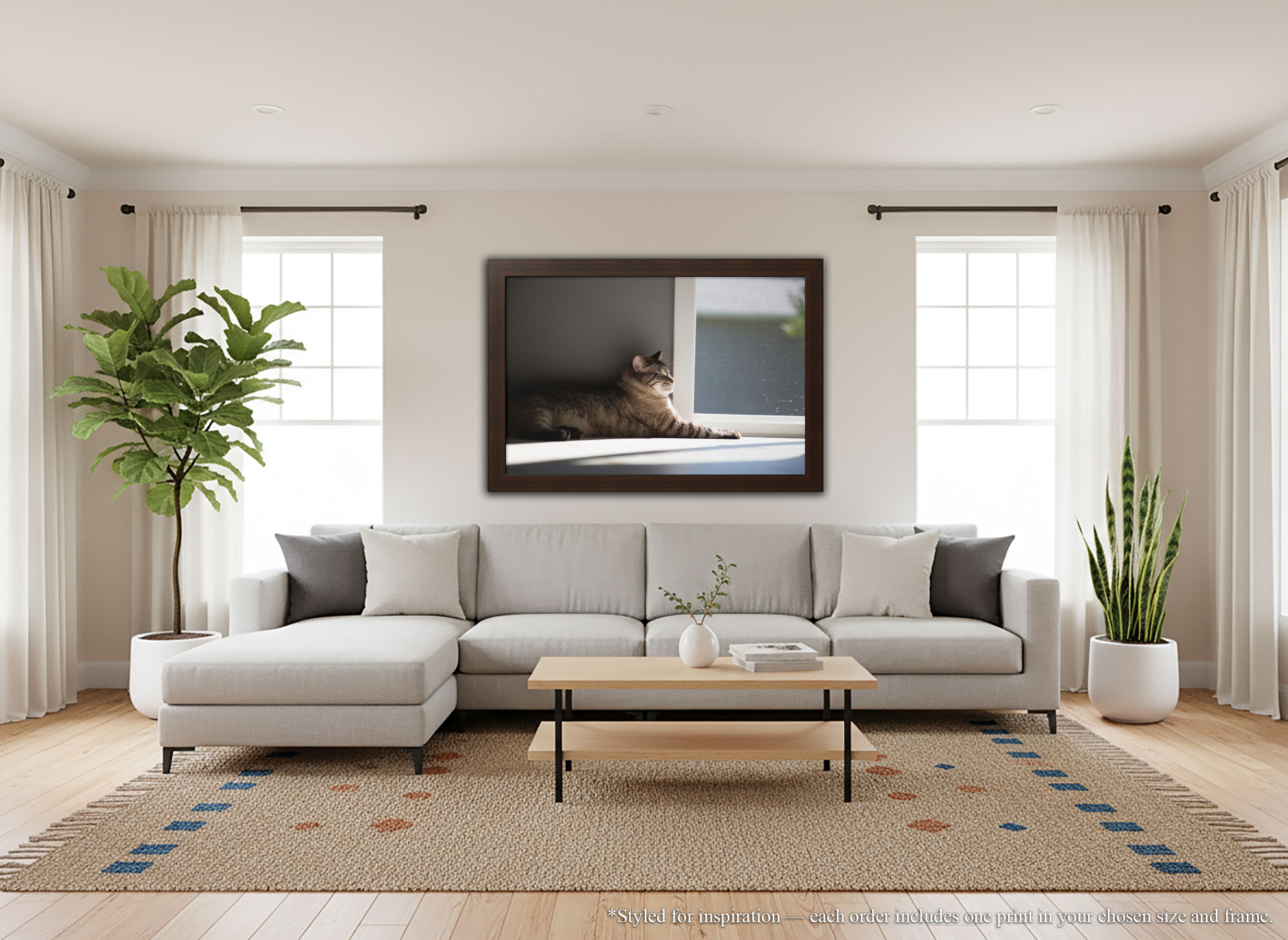 Sunlit Siamese Cat - Framed Print - Cozy Feline in Sunshine Photography #34 product thumbnail image