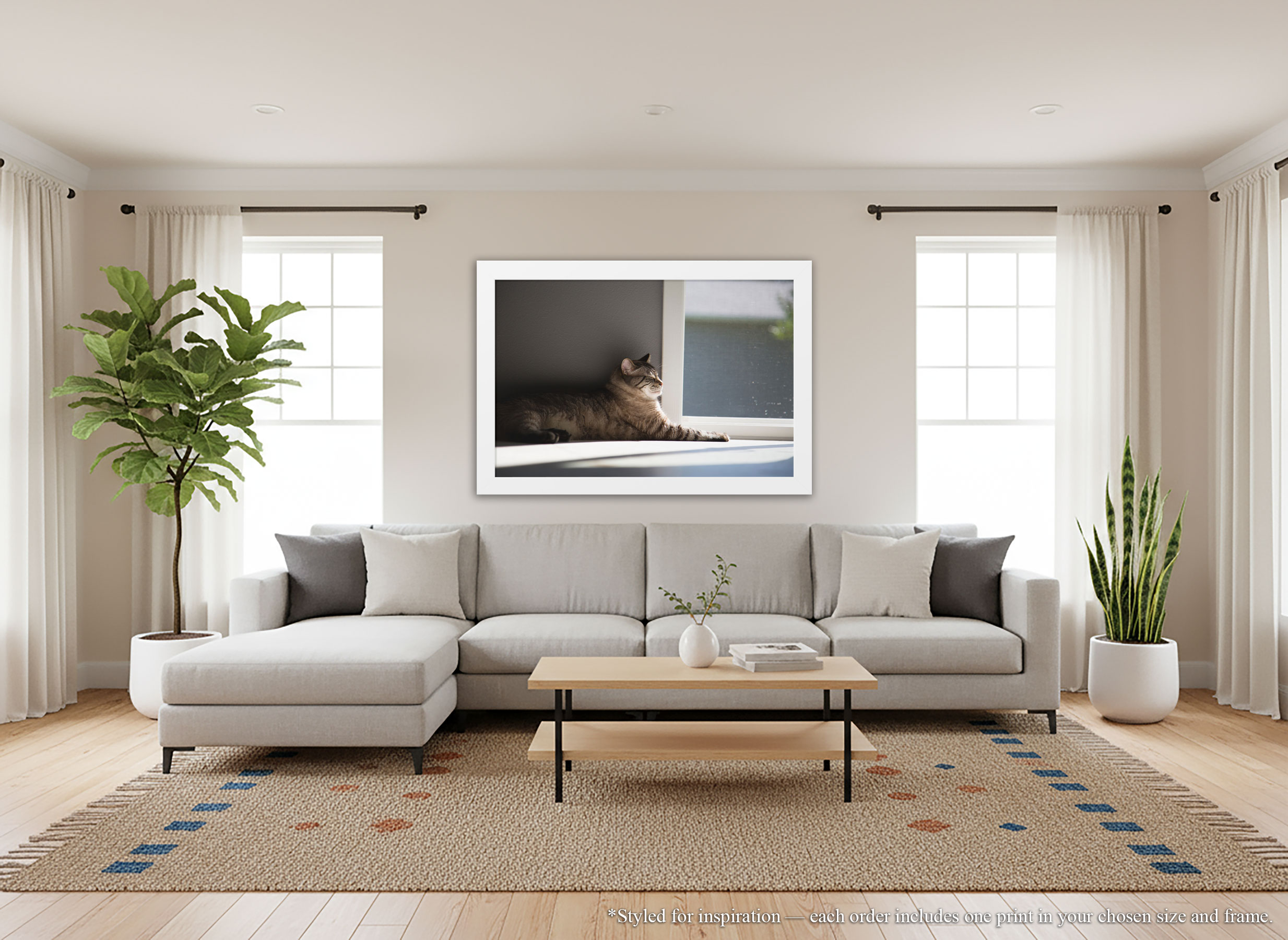 Sunlit Siamese Cat - Framed Print - Cozy Feline in Sunshine Photography #34 product thumbnail image
