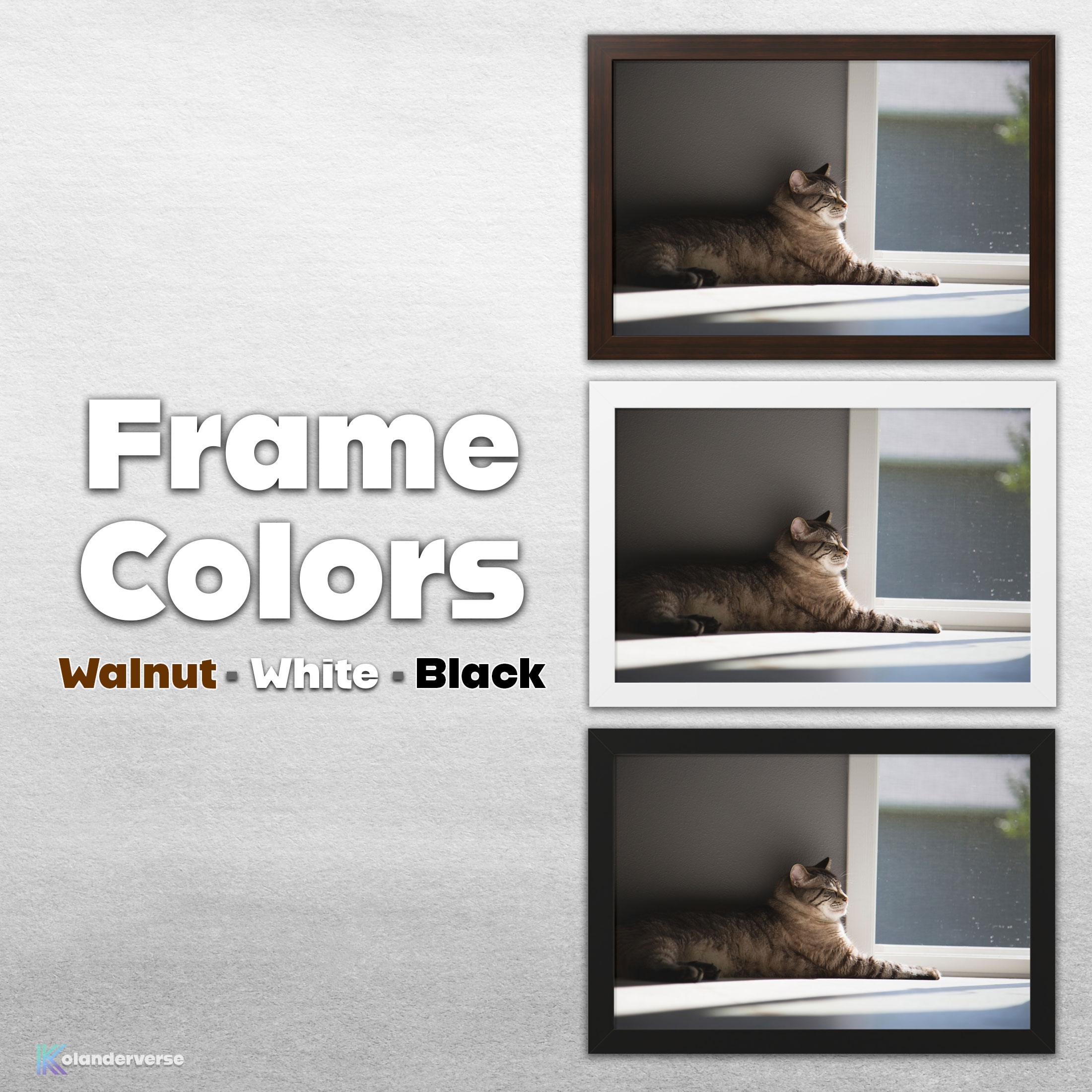 Sunlit Siamese Cat - Framed Print - Cozy Feline in Sunshine Photography #34 product thumbnail image Sunlit Siamese Cat - Framed Print - Cozy Feline in Sunshine Photography #34 product thumbnail image