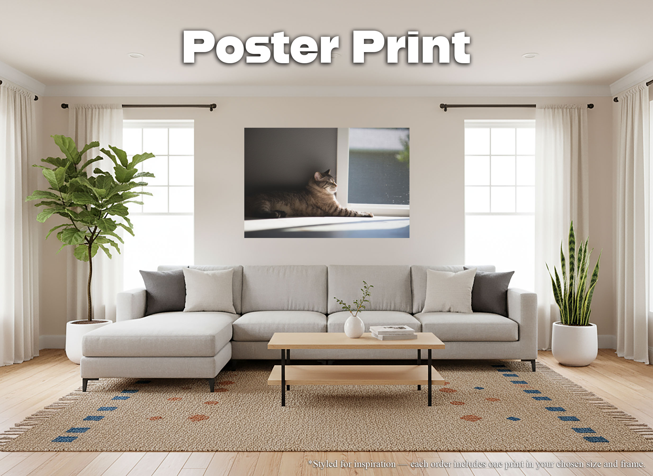Sunlit Siamese Cat - Giclée Poster Print - Cozy Feline in Sunshine Photography #34 Sunlit Siamese Cat - Giclée Poster Print - Cozy Feline in Sunshine Photography #34