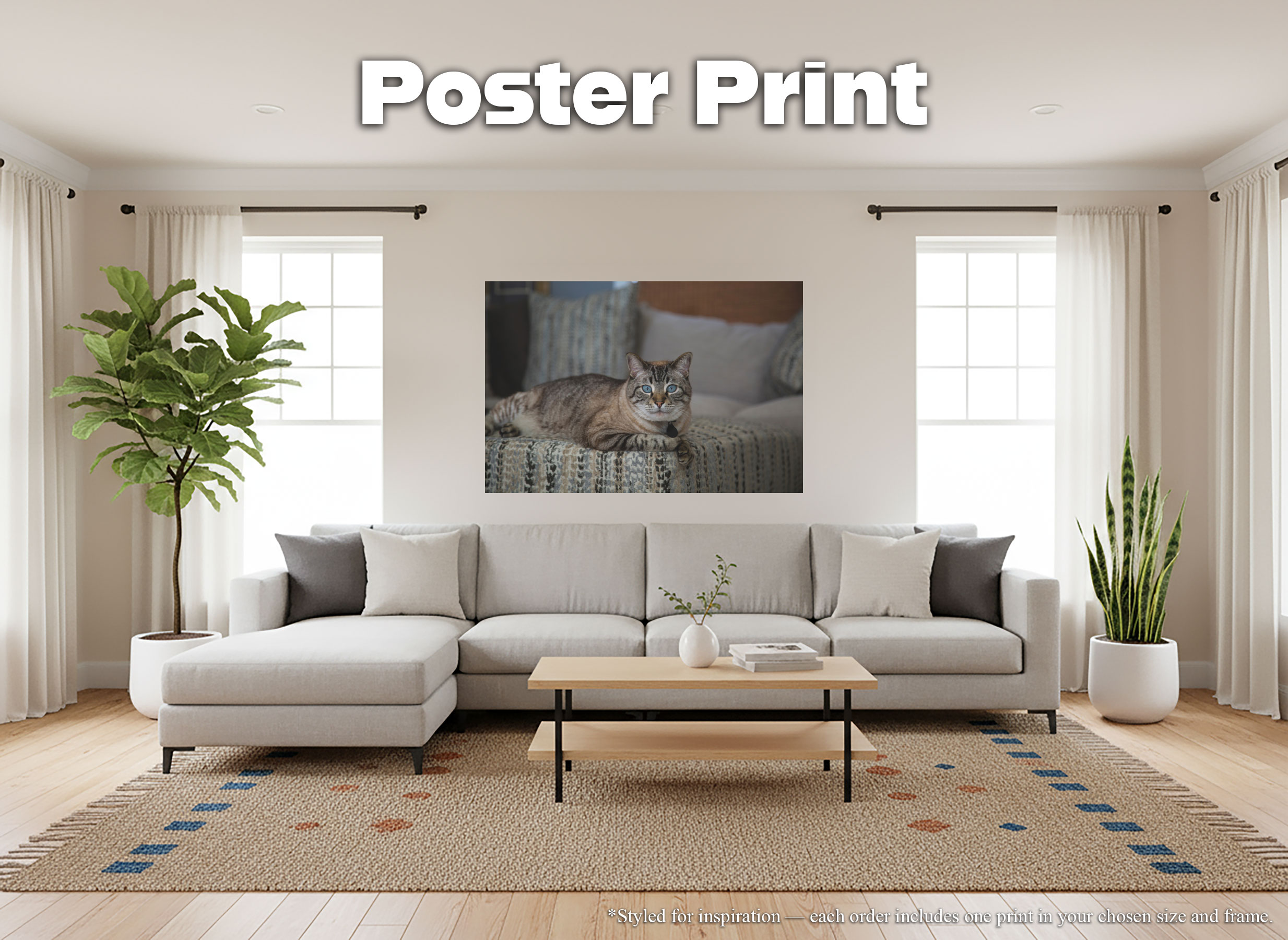 Blue-Eyed Siamese Lynx Point Cat - Giclée Poster Print – Elegant Feline Photography #36
