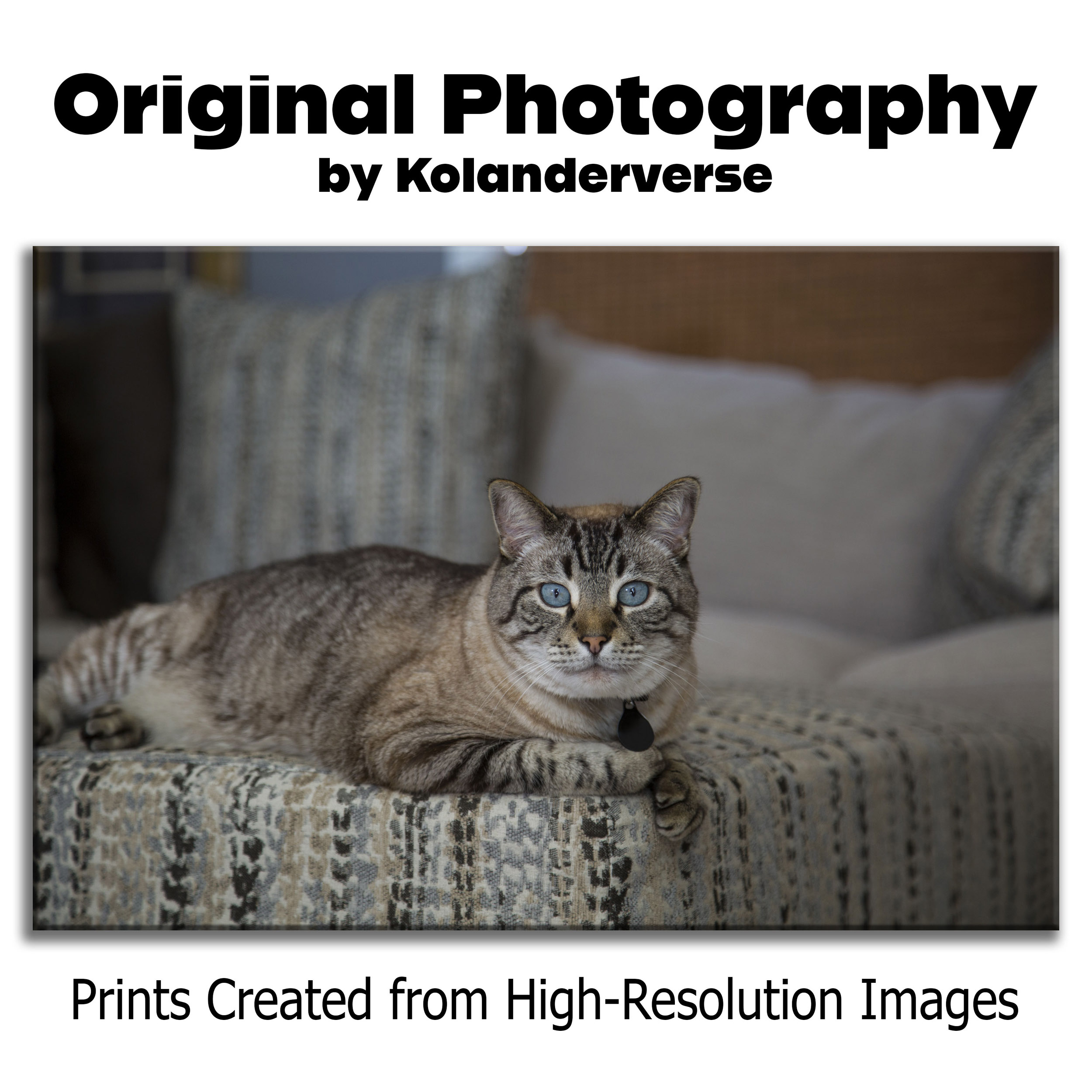 Blue-Eyed Siamese Lynx Point Cat - Canvas Print – Elegant Feline Photography #36 product thumbnail image Blue-Eyed Siamese Lynx Point Cat - Canvas Print – Elegant Feline Photography #36 product thumbnail image