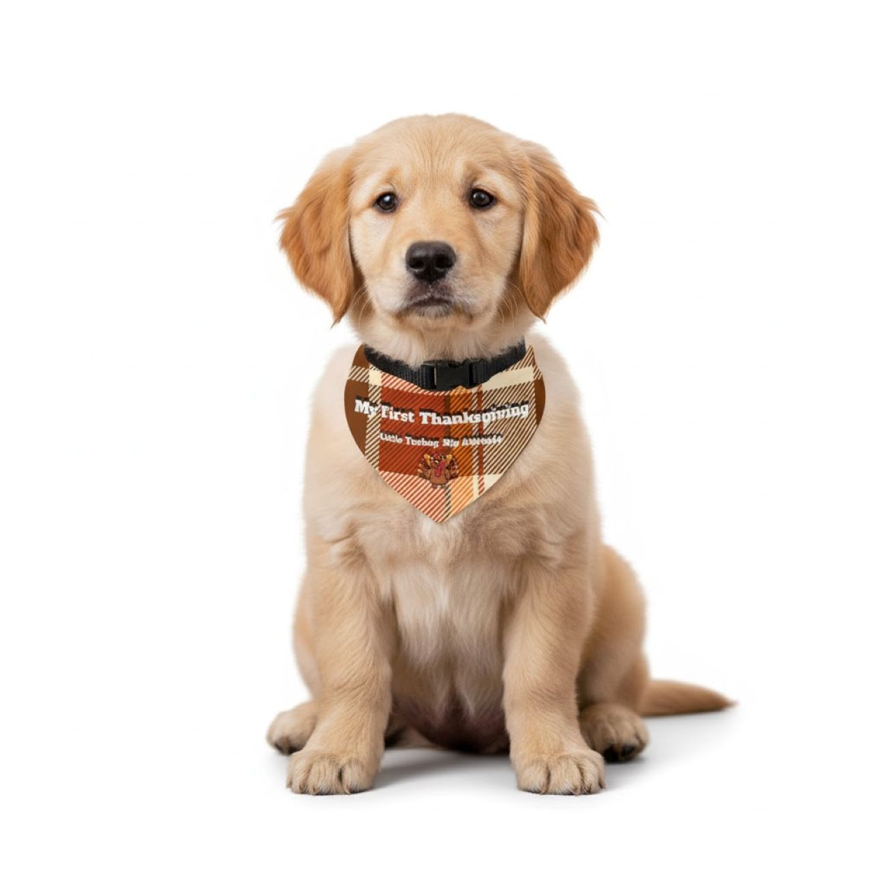 Thanksgiving Pet "My First Thanksgiving" Plaid Bandana product thumbnail image Thanksgiving Pet "My First Thanksgiving" Plaid Bandana product thumbnail image