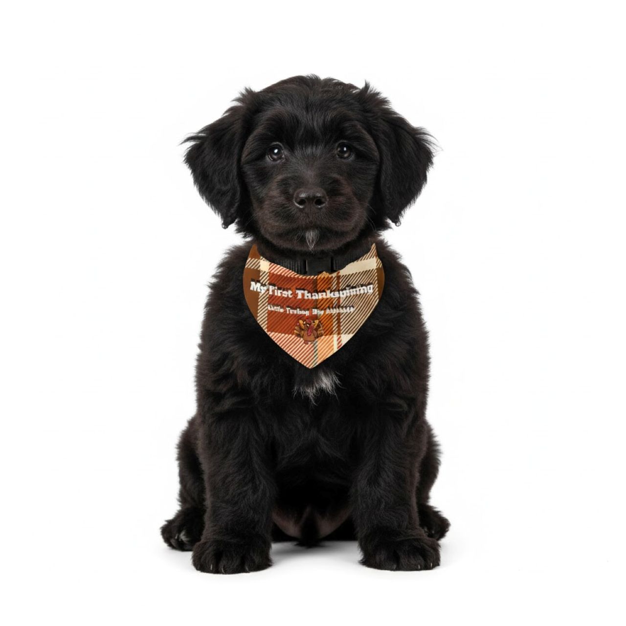 Thanksgiving Pet "My First Thanksgiving" Plaid Bandana product thumbnail image