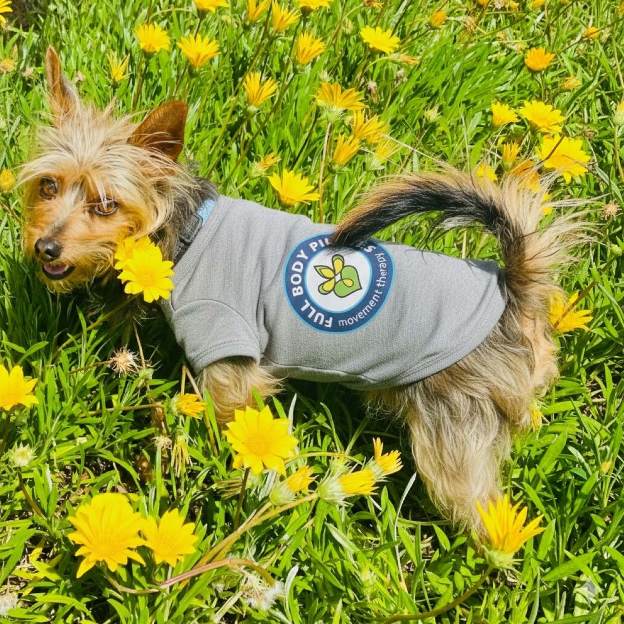 Dog Apparel - Pet Tank Top for Active Pets Full Body Pilates Official, Cute Dog Apparel for Summer, Ideal Gift for Pet Lovers, Dog Birthday Outfit, Fun Pet Fashion product thumbnail image Dog Apparel - Pet Tank Top for Active Pets Full Body Pilates Official, Cute Dog Apparel for Summer, Ideal Gift for Pet Lovers, Dog Birthday Outfit, Fun Pet Fashion product thumbnail image