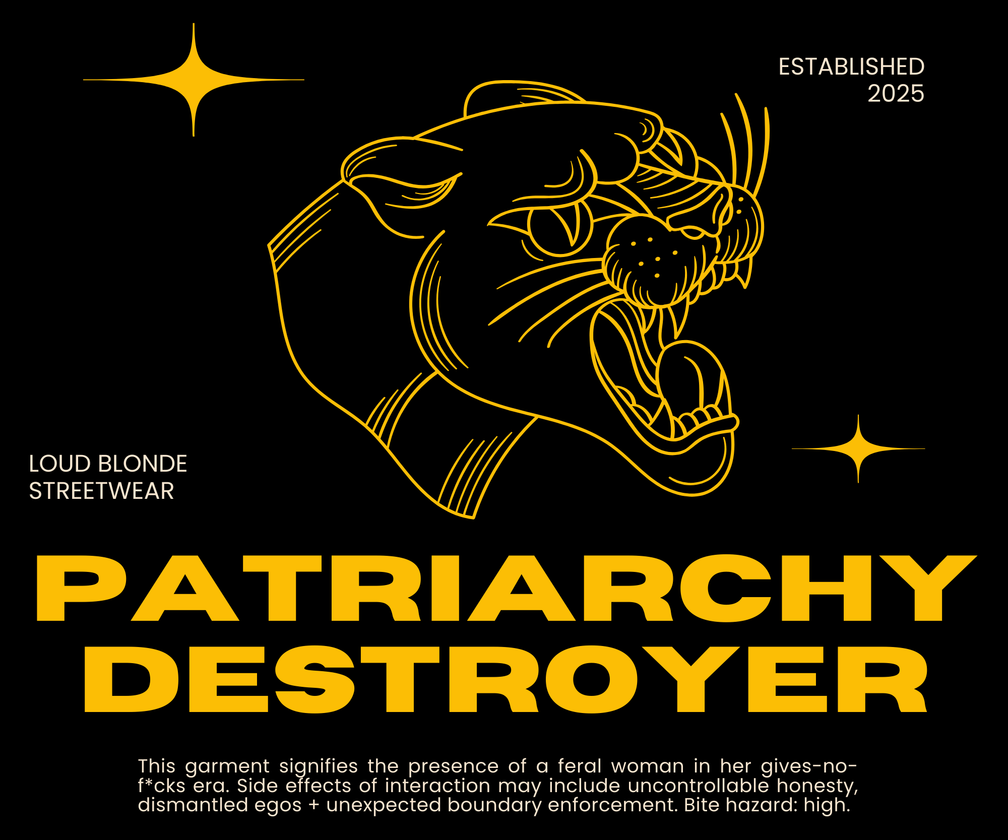 PATRIARCHY DESTROYER HOODIE — Crafted for Chaos + Max Destruction product thumbnail image PATRIARCHY DESTROYER HOODIE — Crafted for Chaos + Max Destruction product thumbnail image
