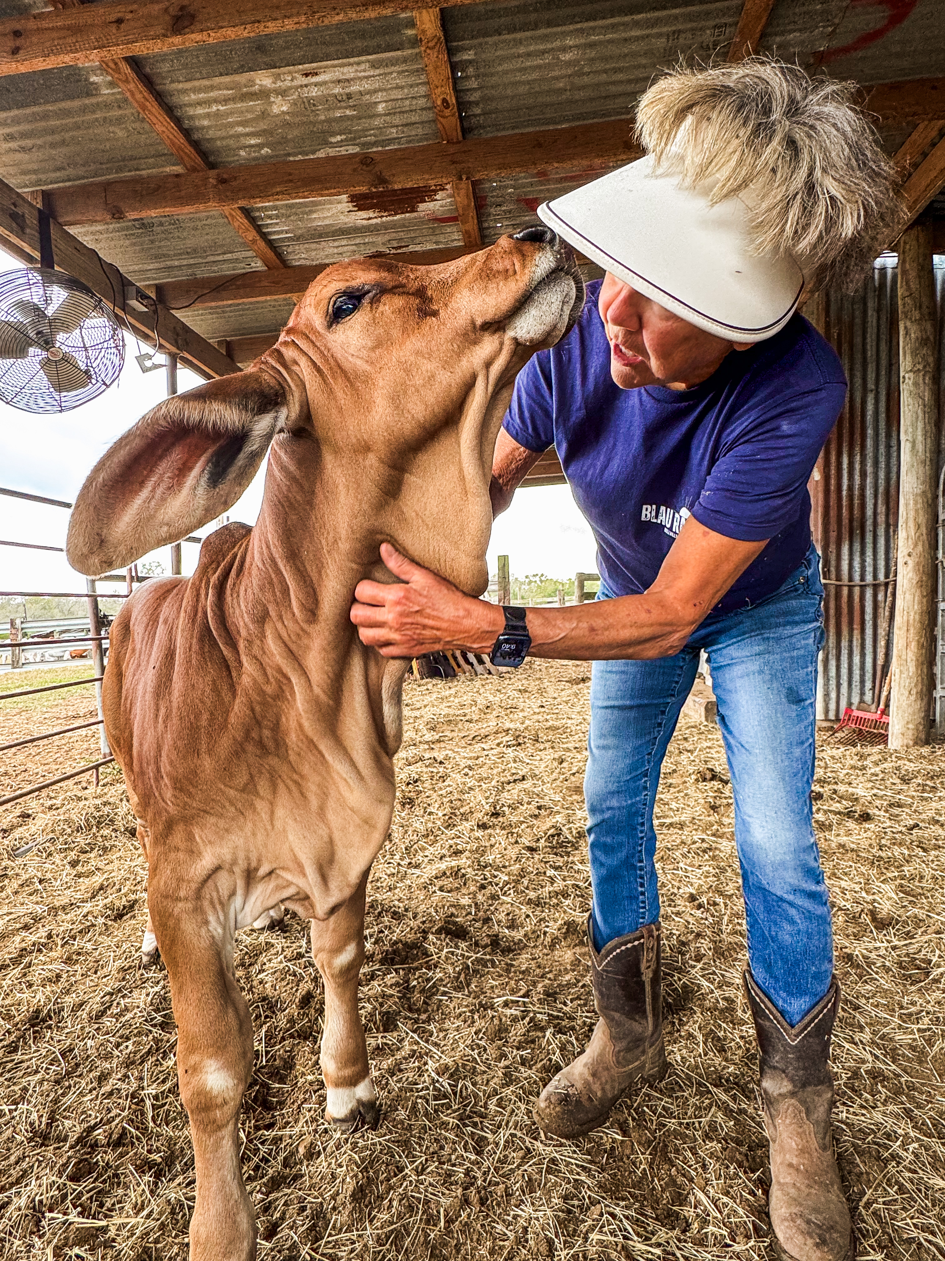 “Work the Land. Earn the Brand.” Ranch Hand Womens' Tee product thumbnail image
