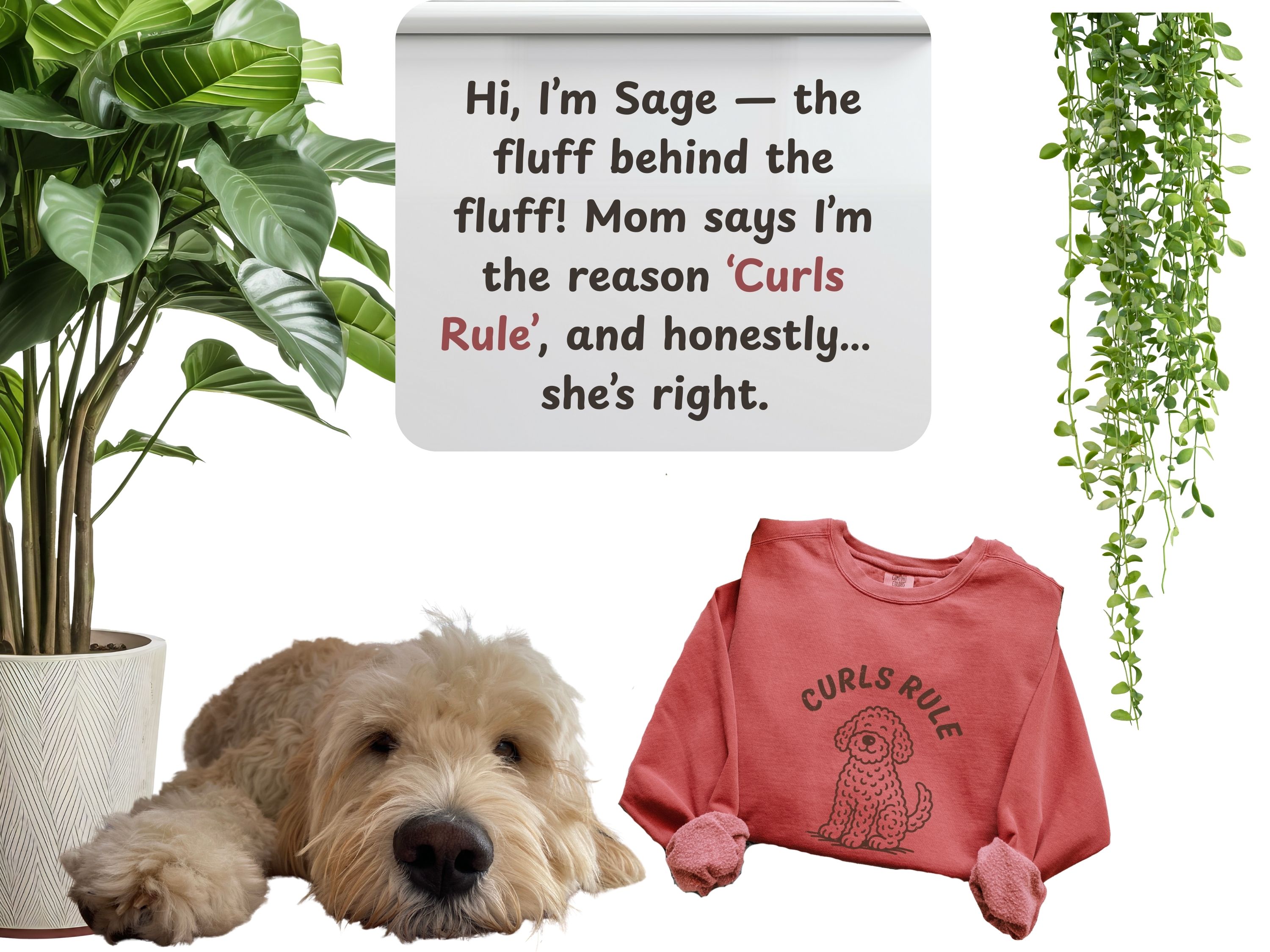 Goldendoodle Sweatshirt Comfort Colors 1566, Curls Rule Oversized Crewneck, Doodle Mom Gift, Funny Dog Lover Christmas Sweater product thumbnail image