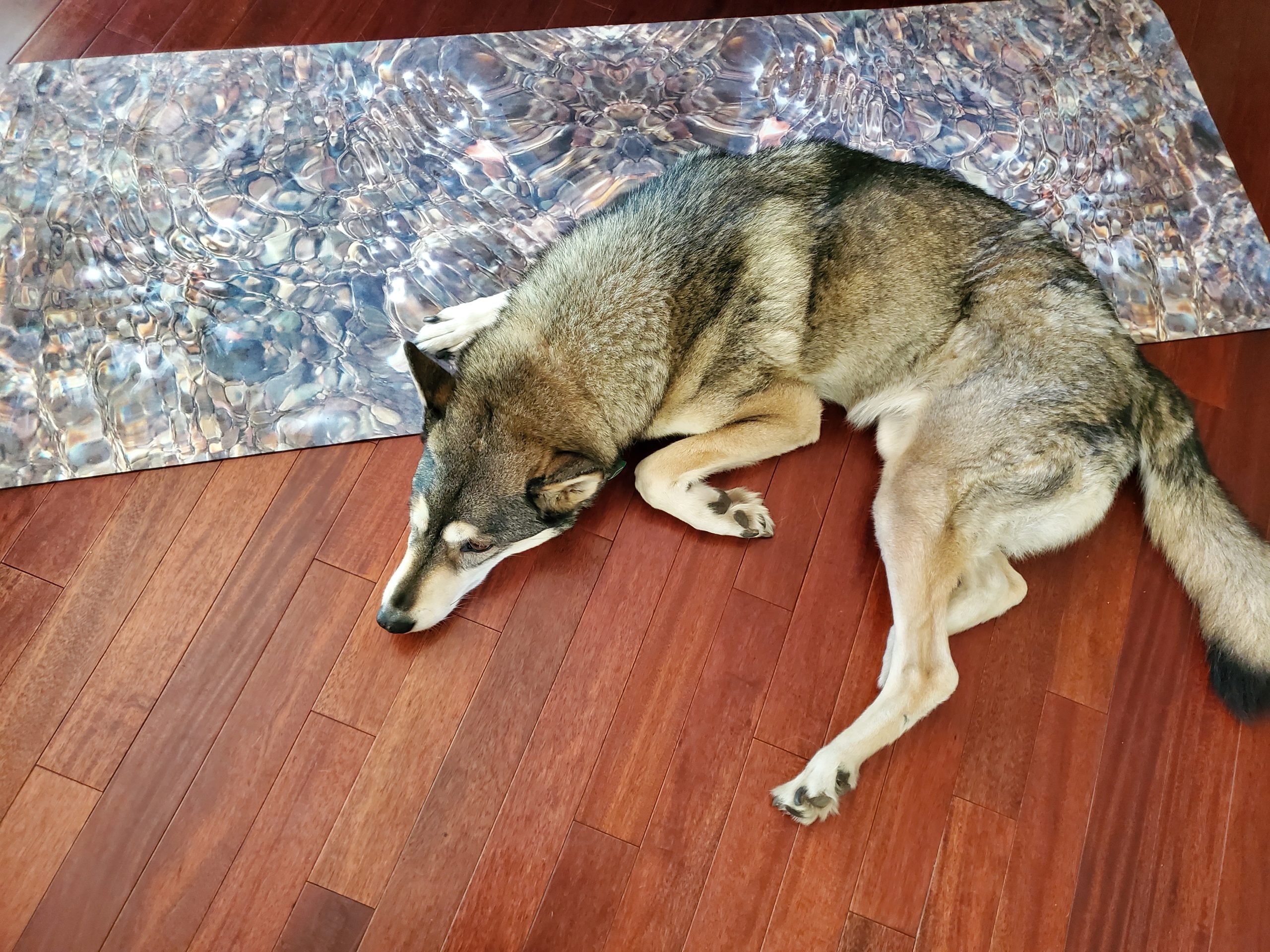 Yoga Mat Warp That Pose product thumbnail image Yoga Mat Warp That Pose product thumbnail image