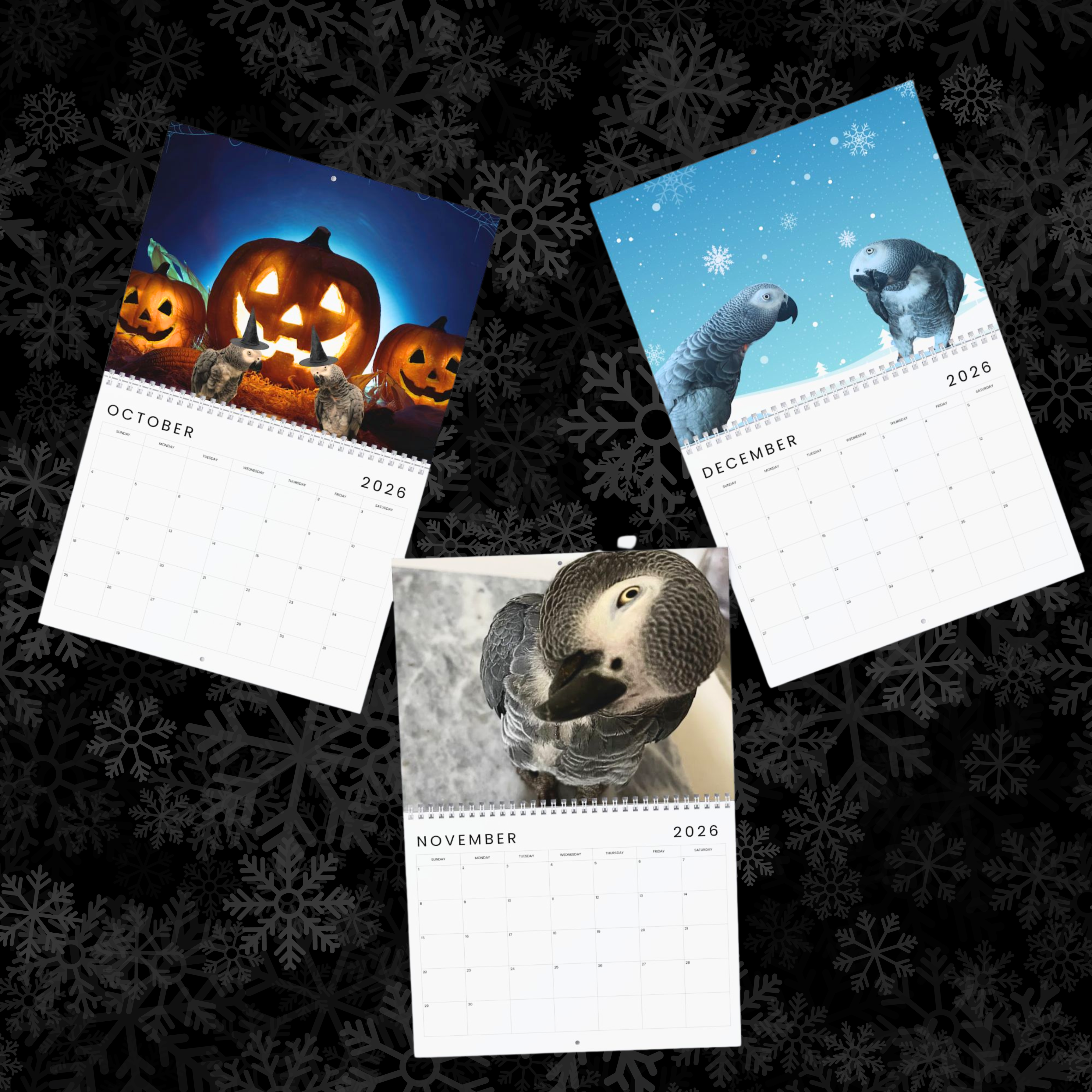 The Alex Foundation - 2026 Wall Calendar product thumbnail image The Alex Foundation - 2026 Wall Calendar product thumbnail image