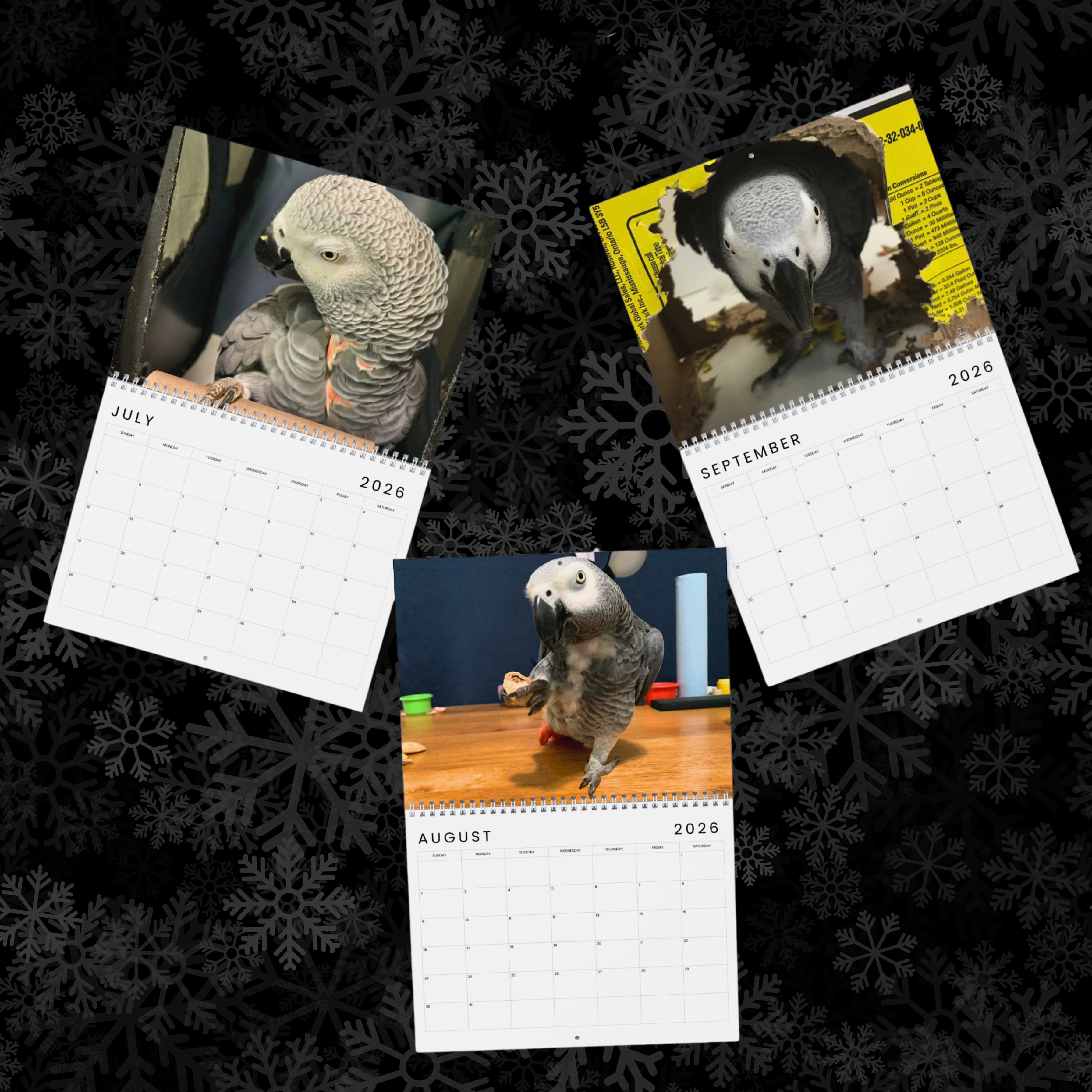 The Alex Foundation - 2026 Wall Calendar product thumbnail image The Alex Foundation - 2026 Wall Calendar product thumbnail image