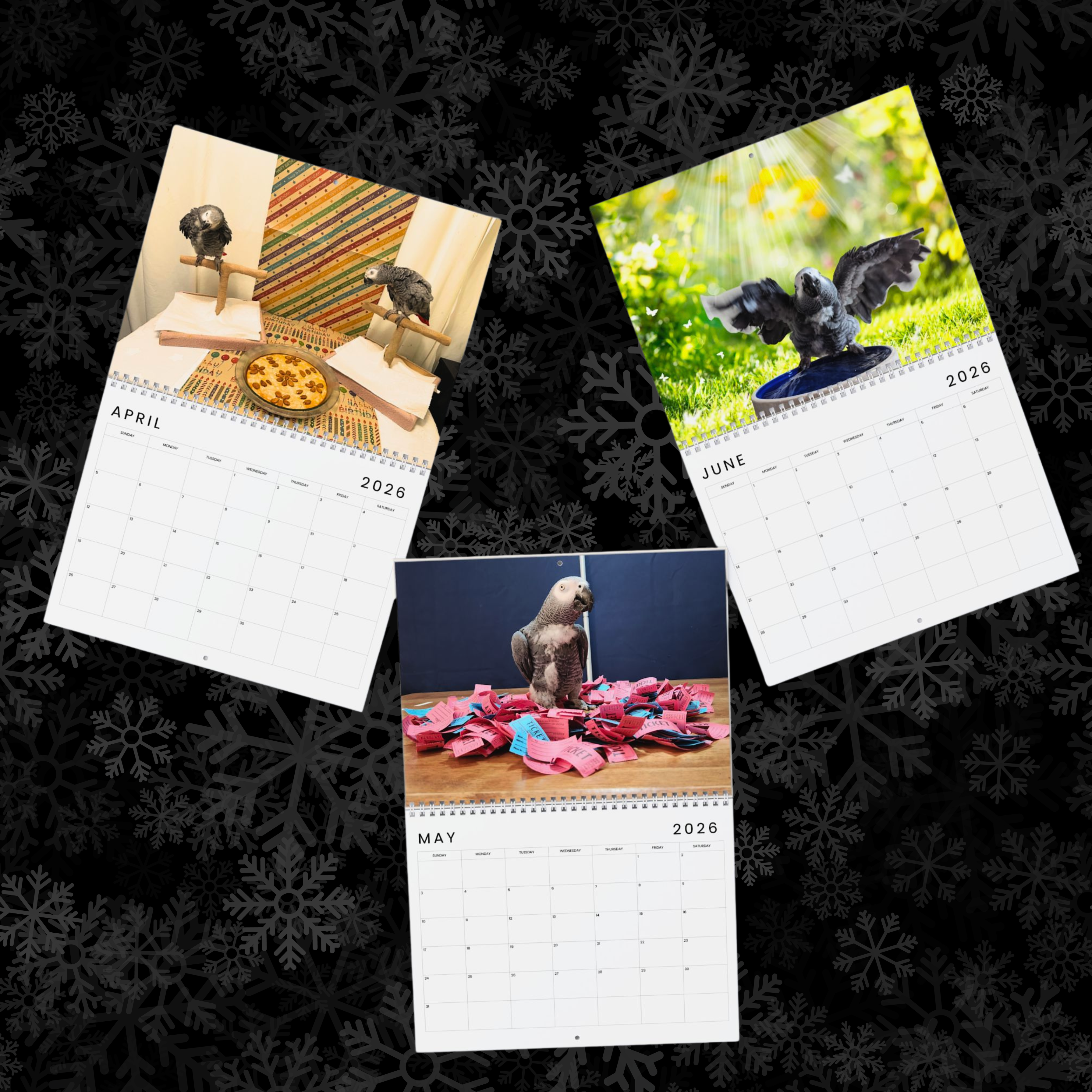 The Alex Foundation - 2026 Wall Calendar product thumbnail image The Alex Foundation - 2026 Wall Calendar product thumbnail image