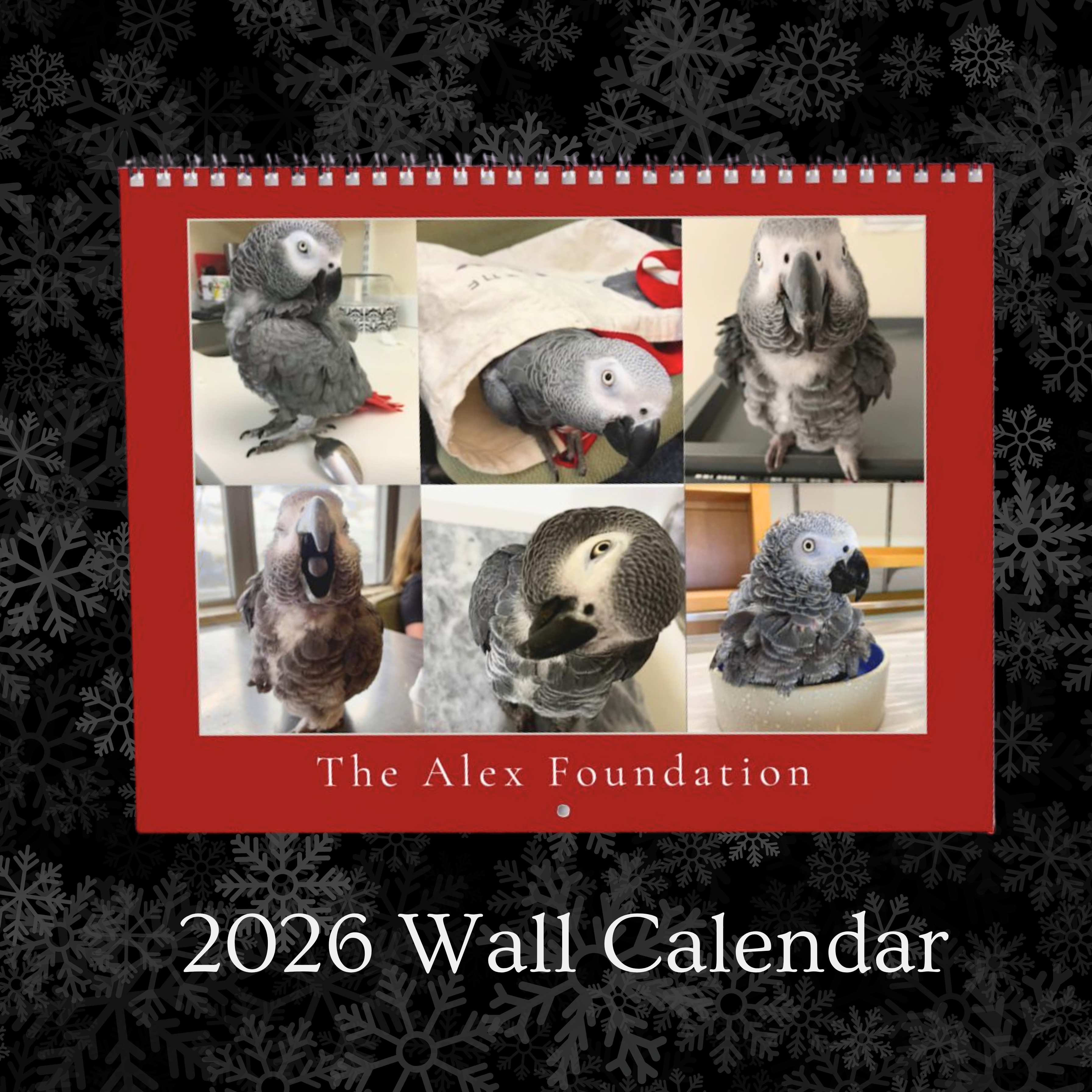The Alex Foundation - 2026 Wall Calendar  