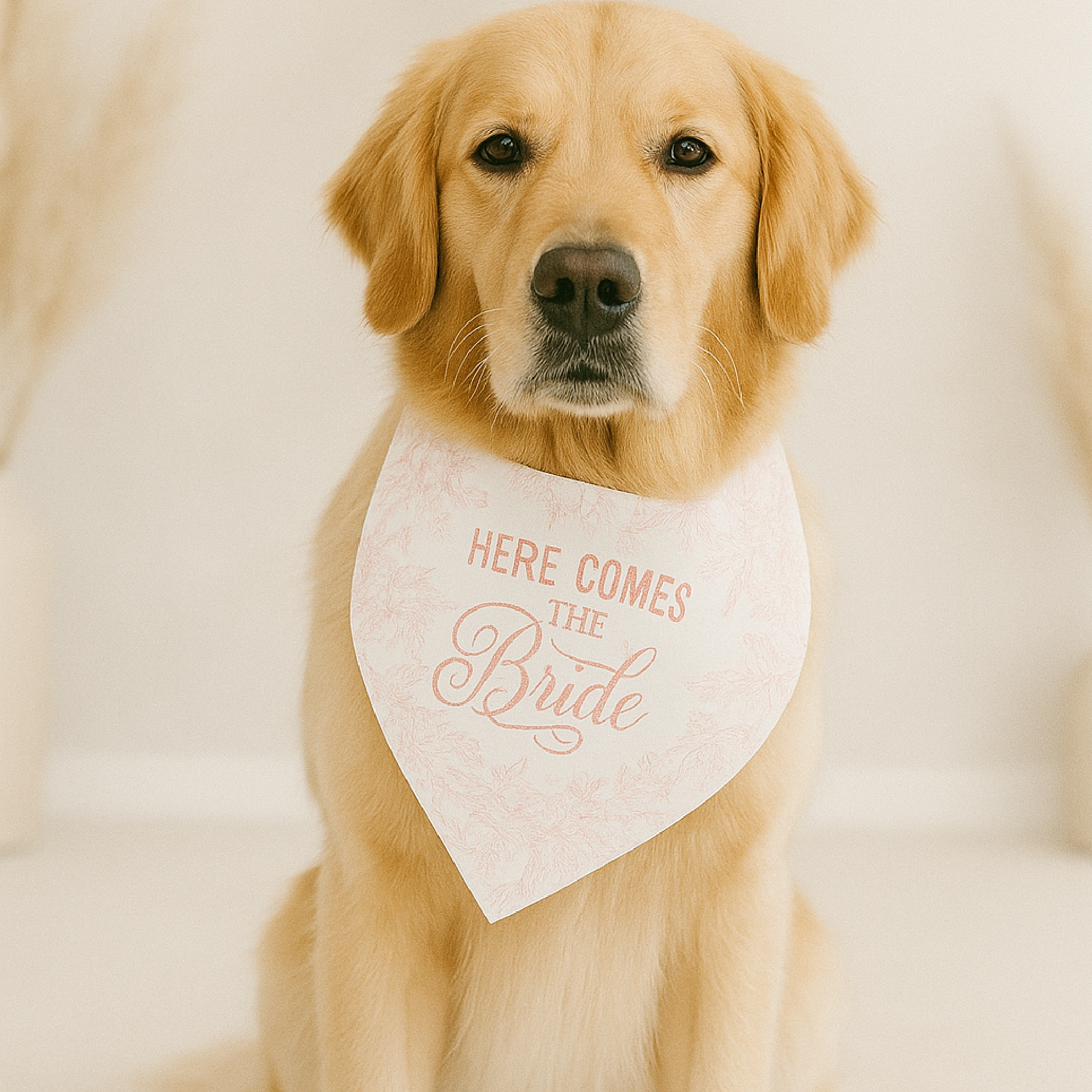 Here Comes the Bride Pet Bandana - Blush Boho Floral Wedding Collar Here Comes the Bride Pet Bandana - Blush Boho Floral Wedding Collar