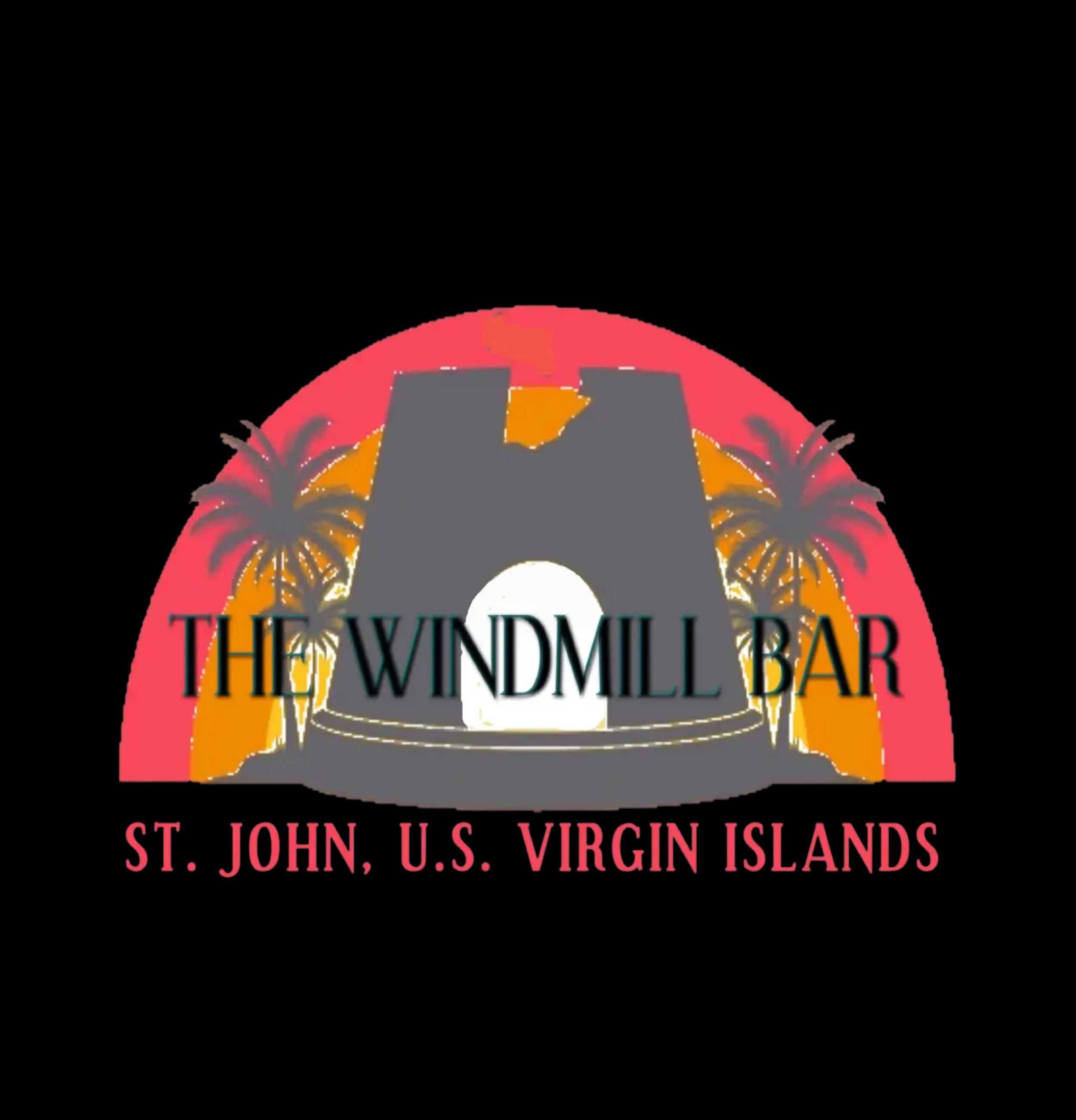 Unisex Puffer Jacket  Insulated Coat in Black