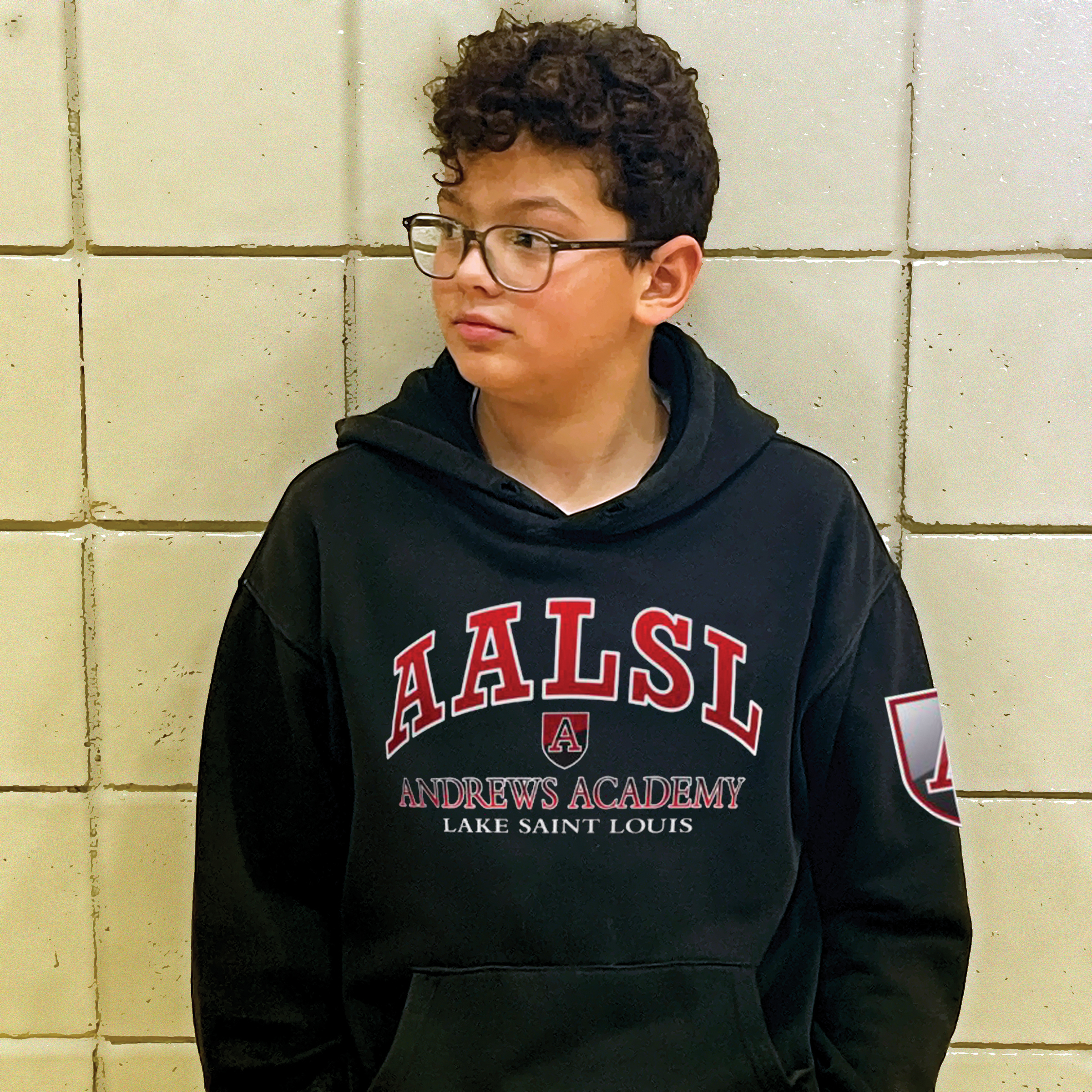 AALSL Dark Color Hoodie