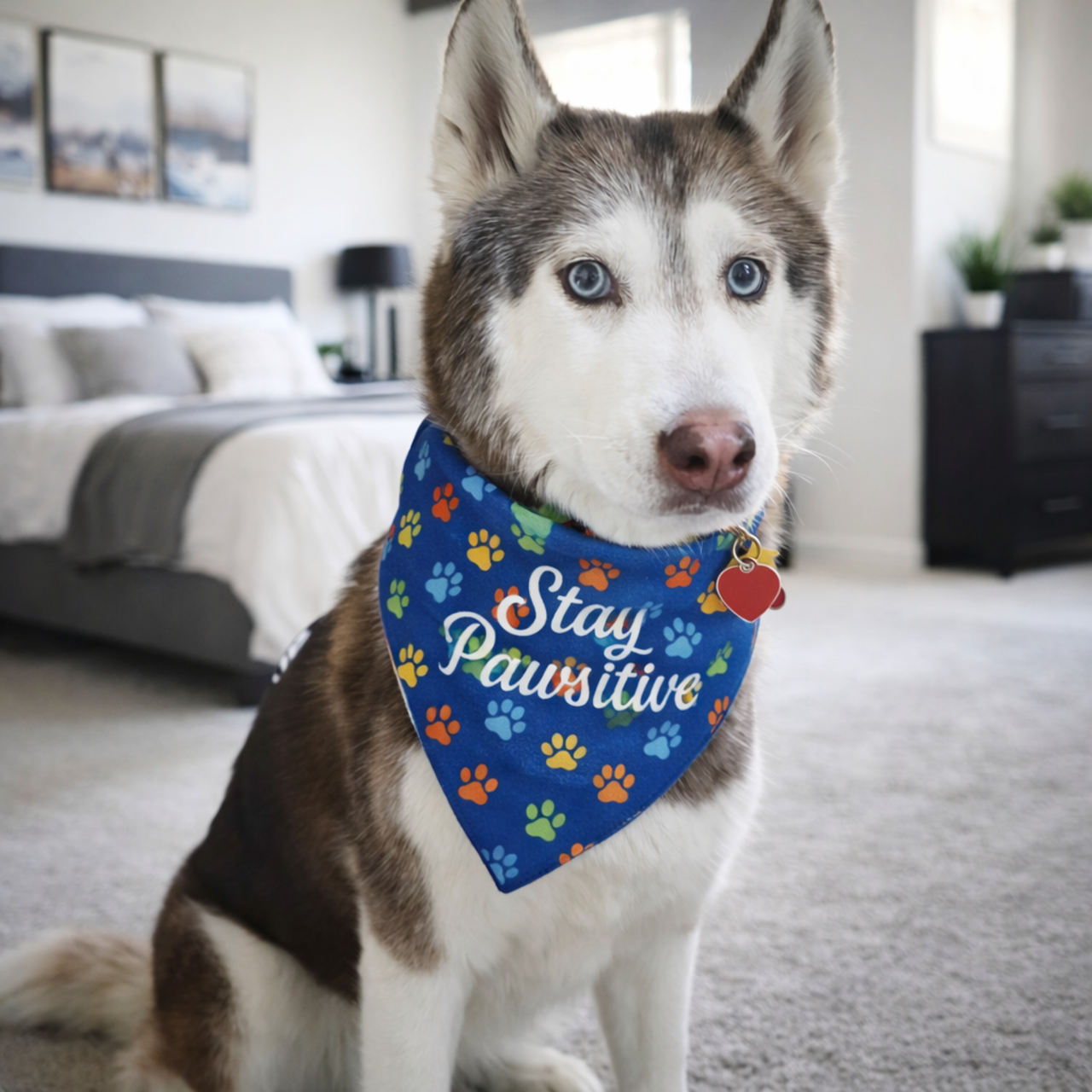 Dark Blue Stay Pawsitive Pet Bandana product thumbnail image Dark Blue Stay Pawsitive Pet Bandana product thumbnail image