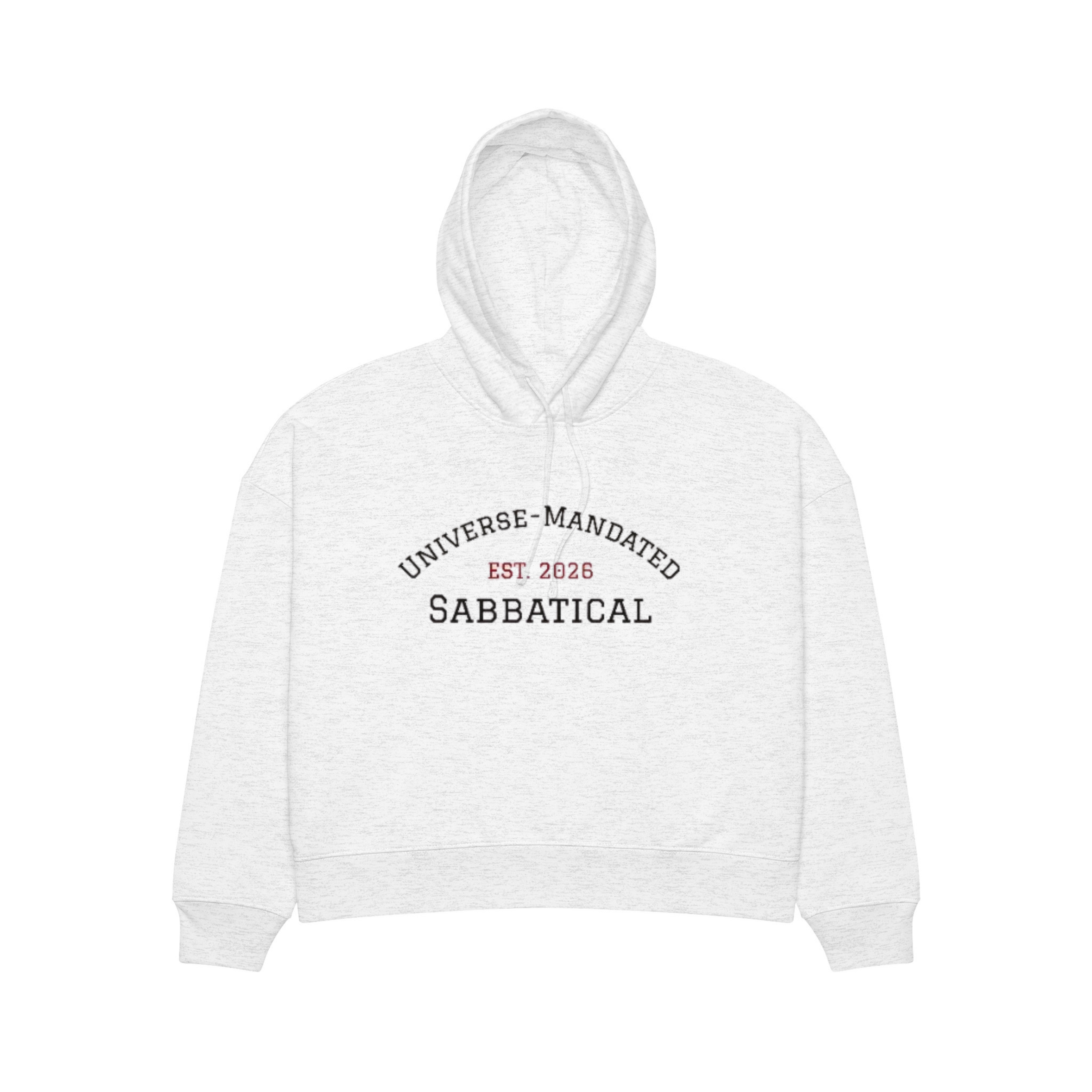 "Universe-Mandated Sabbatical" Hoodie — "A New Lore Has Begun" Back Print 