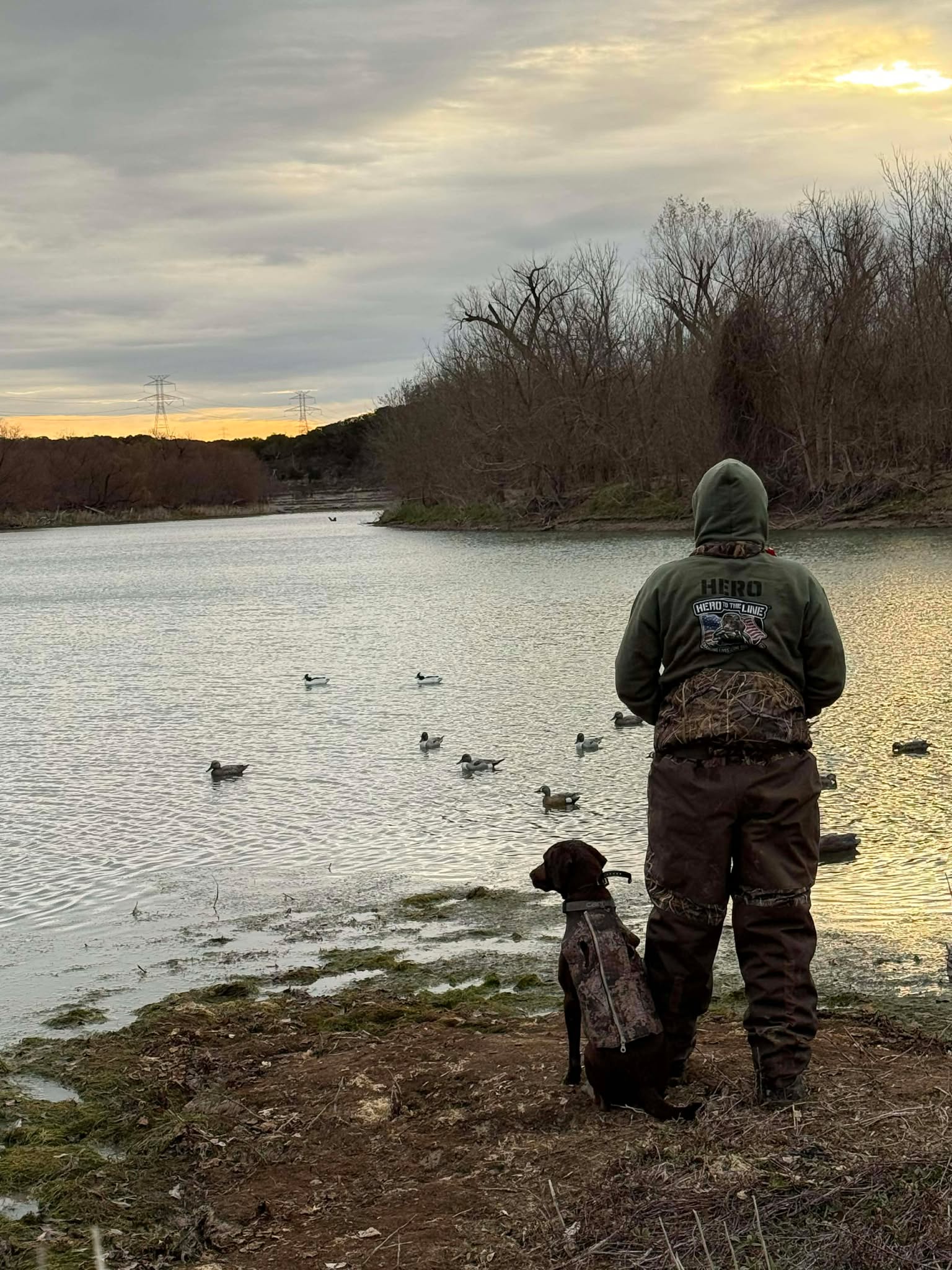 Chocolate Lab Hero To The Line Hoodie — CUSTOM SLEEVE TEXT