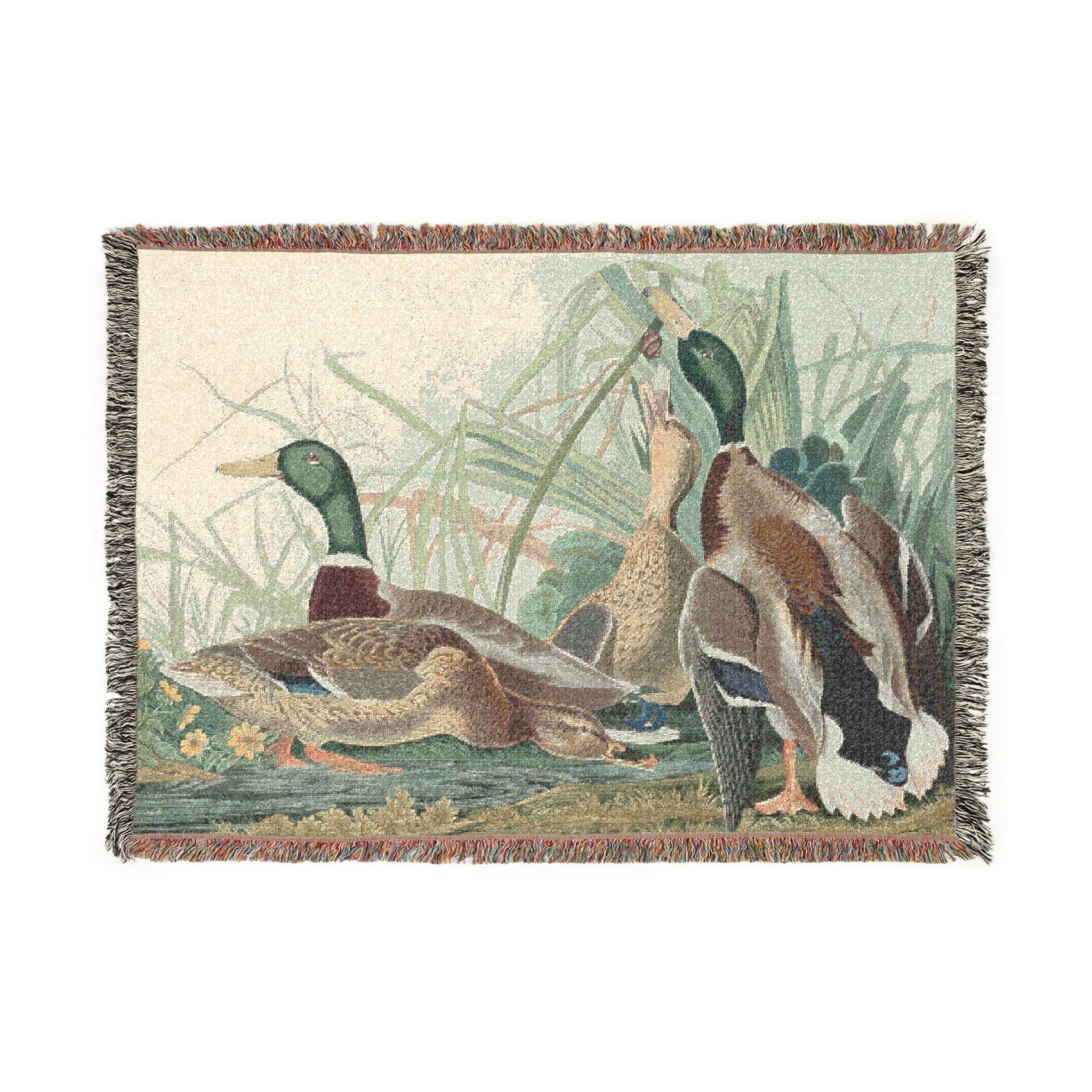 ducks being ducks product thumbnail image