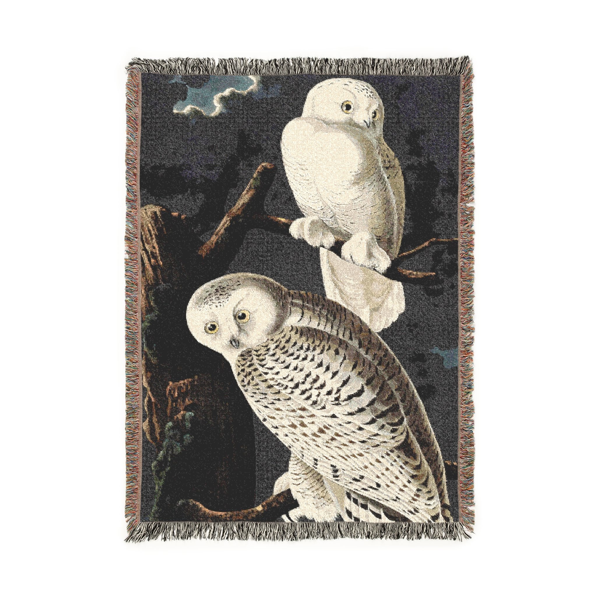 owl’s gaze duet product thumbnail image owl’s gaze duet product thumbnail image